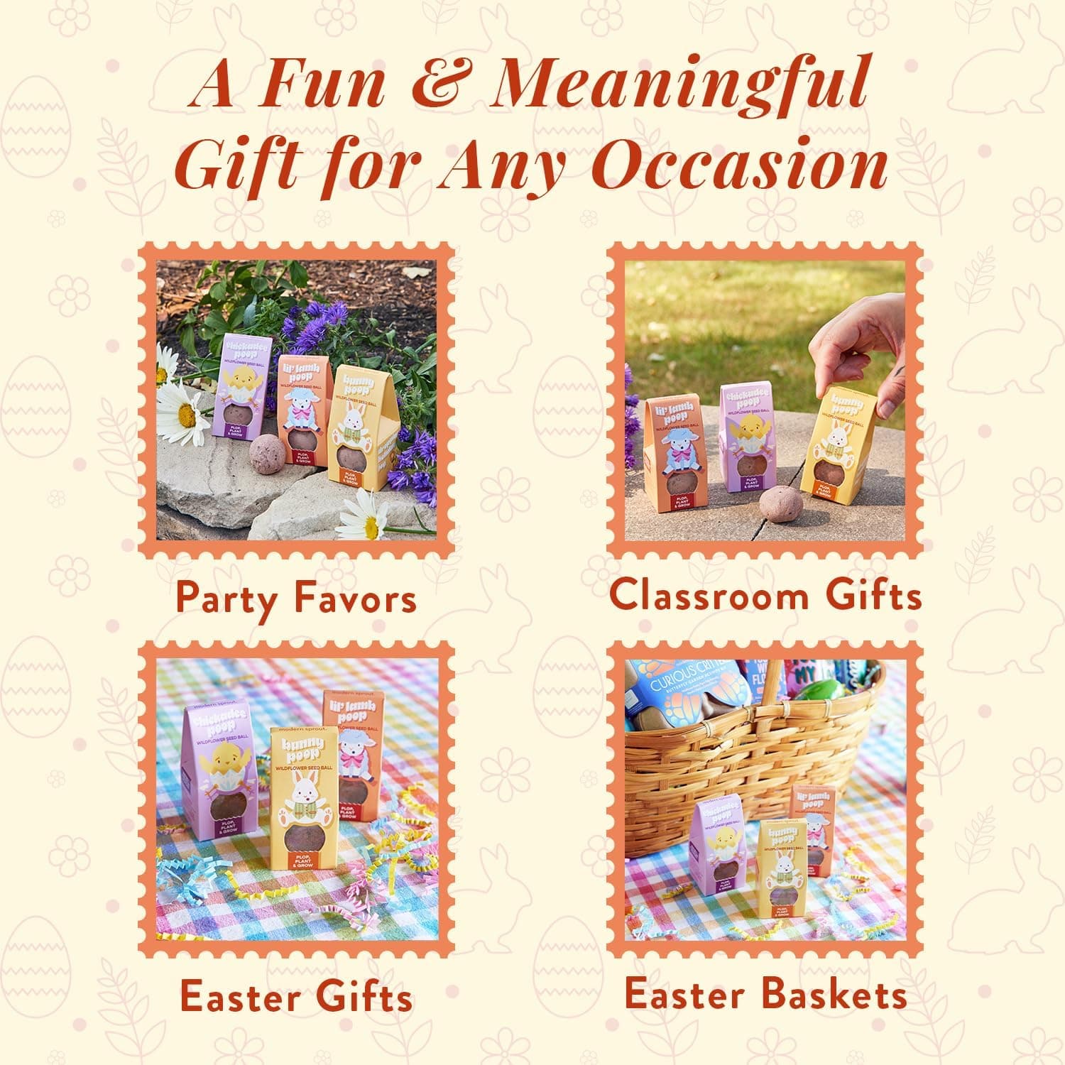 Modern Sprout Wildflower Seed Bombs - Pack of 3 thumbnail 4