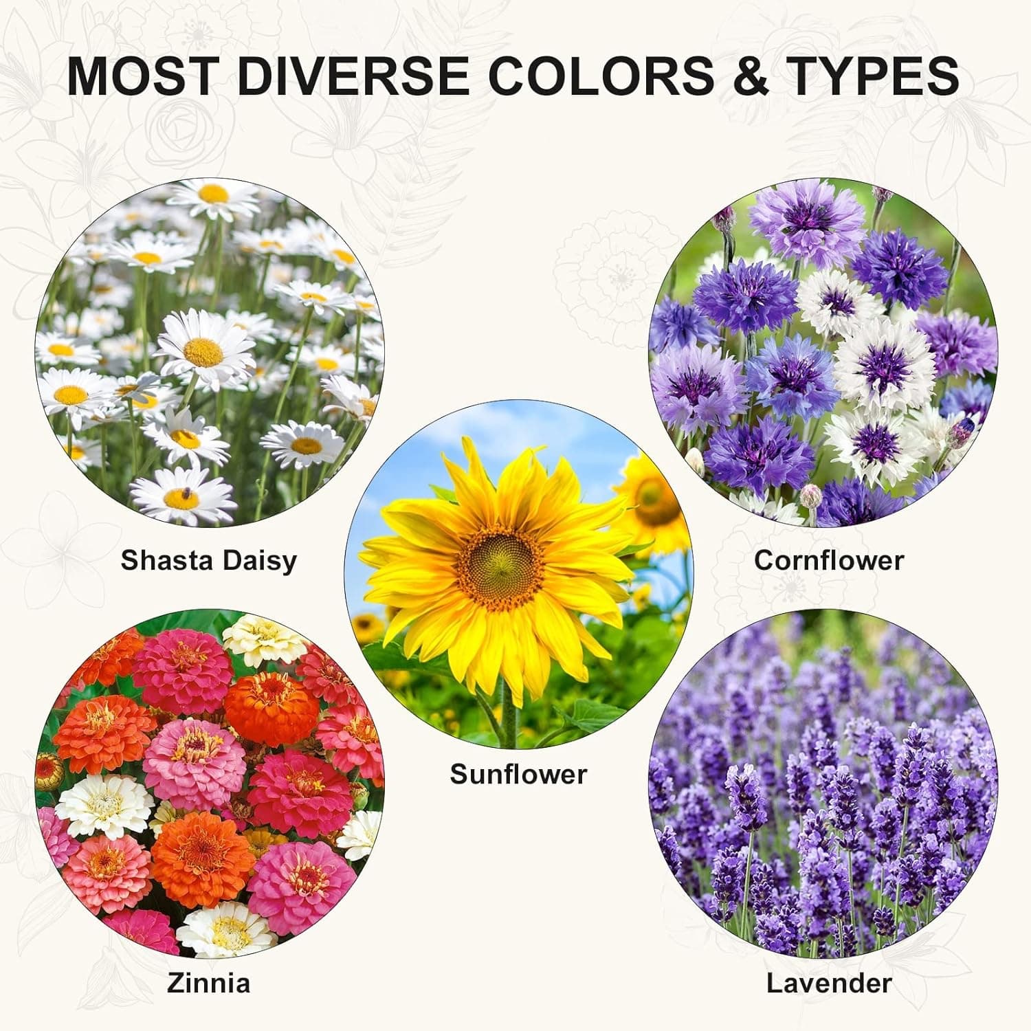 Indoor Daisy Garden Starter Kit with Gardening Tools thumbnail 4