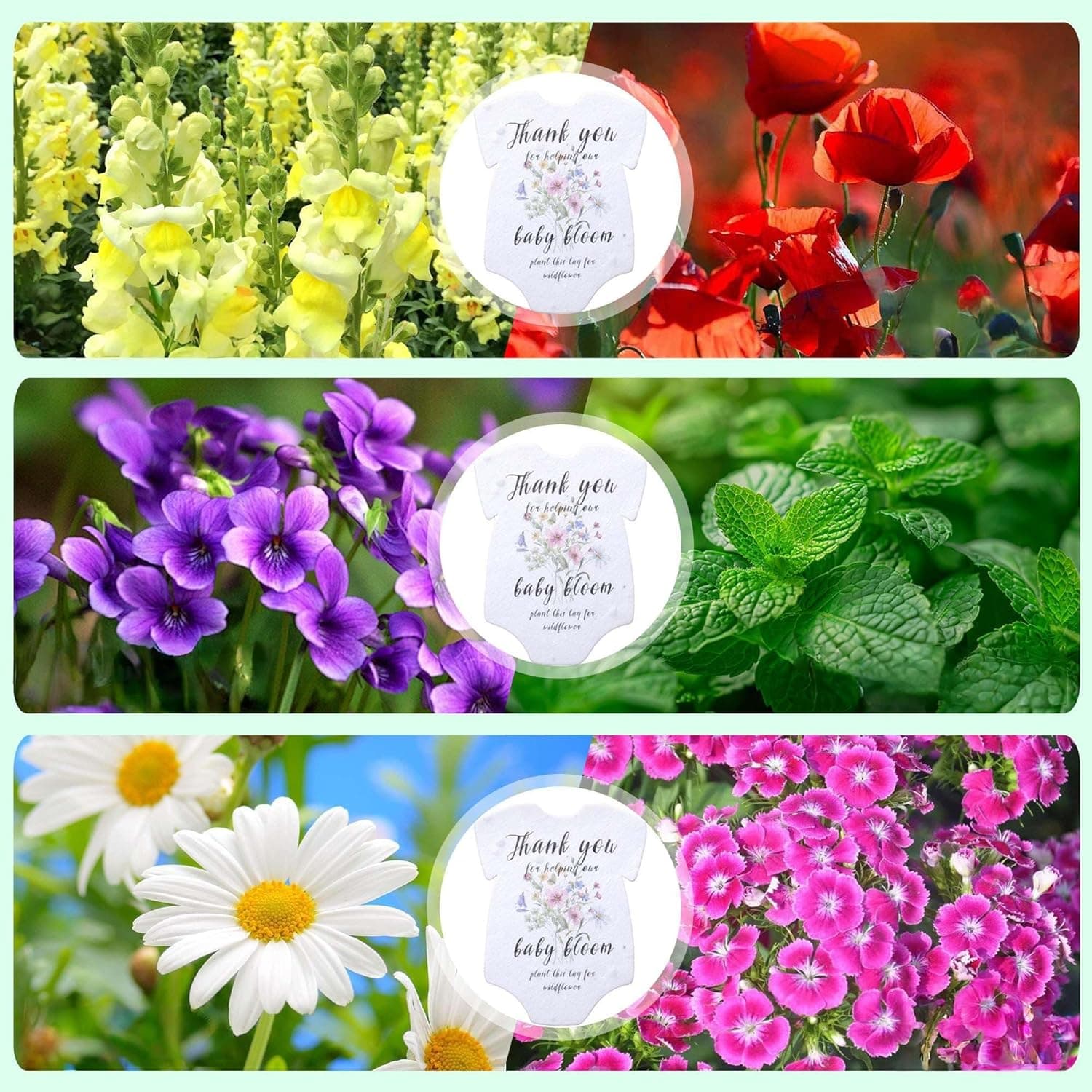 BuggyBeds Plantable Seed Paper Greeting Cards with Wildflower Seeds, 24 Pack thumbnail 4