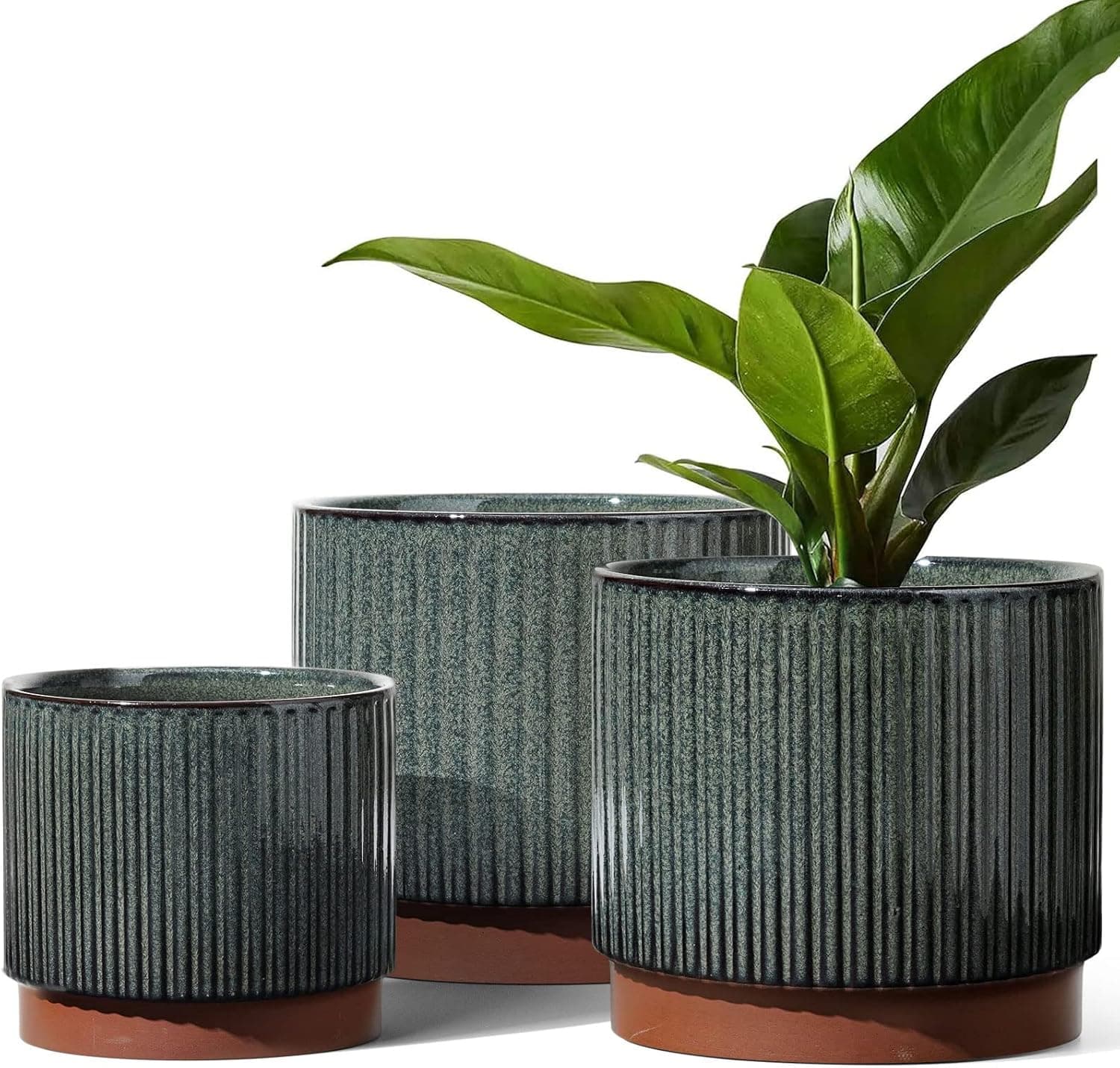 LE TAUCI Ceramic Plant Pots with Drainage Holes - Set of 3 — Easter Gifts gift idea