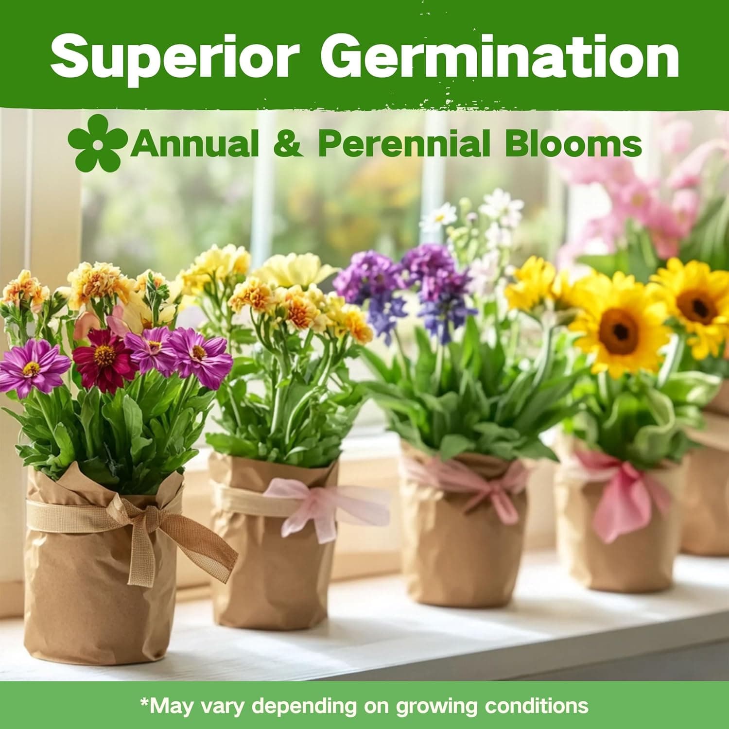 Lush & Dew Cut Flower Seed Bank - 32 Varieties Non-GMO Wildflower Seeds thumbnail 3