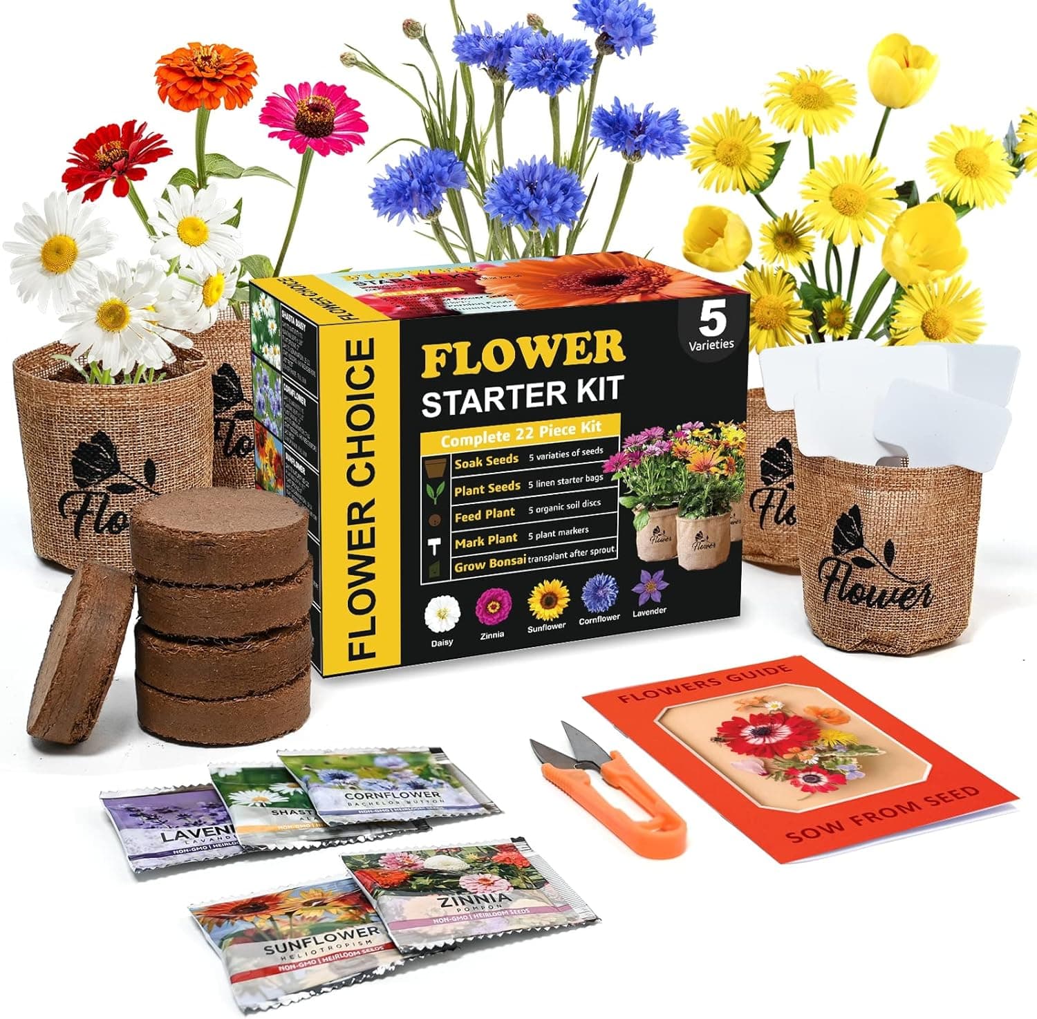 Indoor Daisy Garden Starter Kit with Gardening Tools — Spring Gift Ideas gift idea