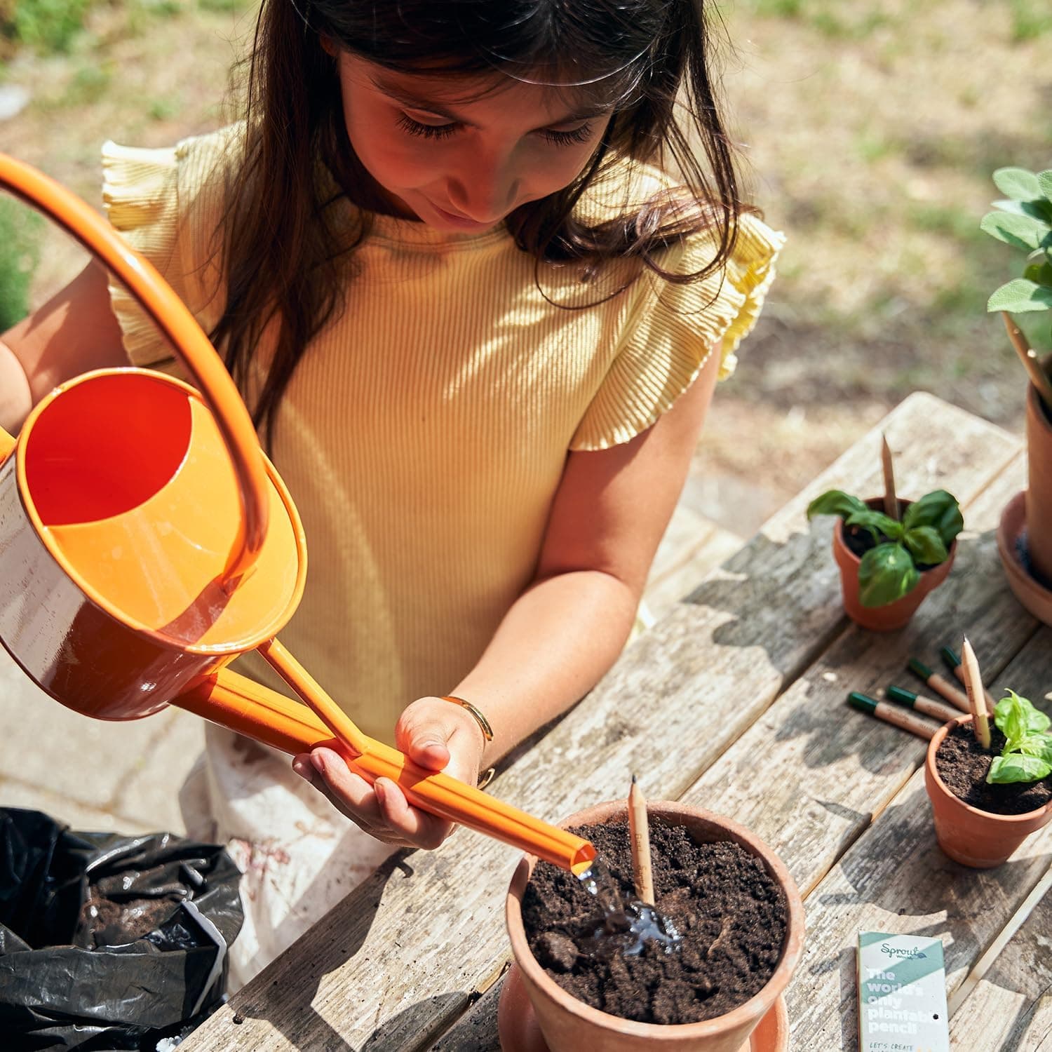 SproutWorld Wood-Cased Pencils | EVERYDAY EARTH | HB Pre-Sharpened Graphite Plantable Wooden Pencils with Flower, Herb &amp; Vegetable Seeds |Gift Ideal for Drawing, Sketching &amp; Shading | 12 Pack : Office Products thumbnail 4