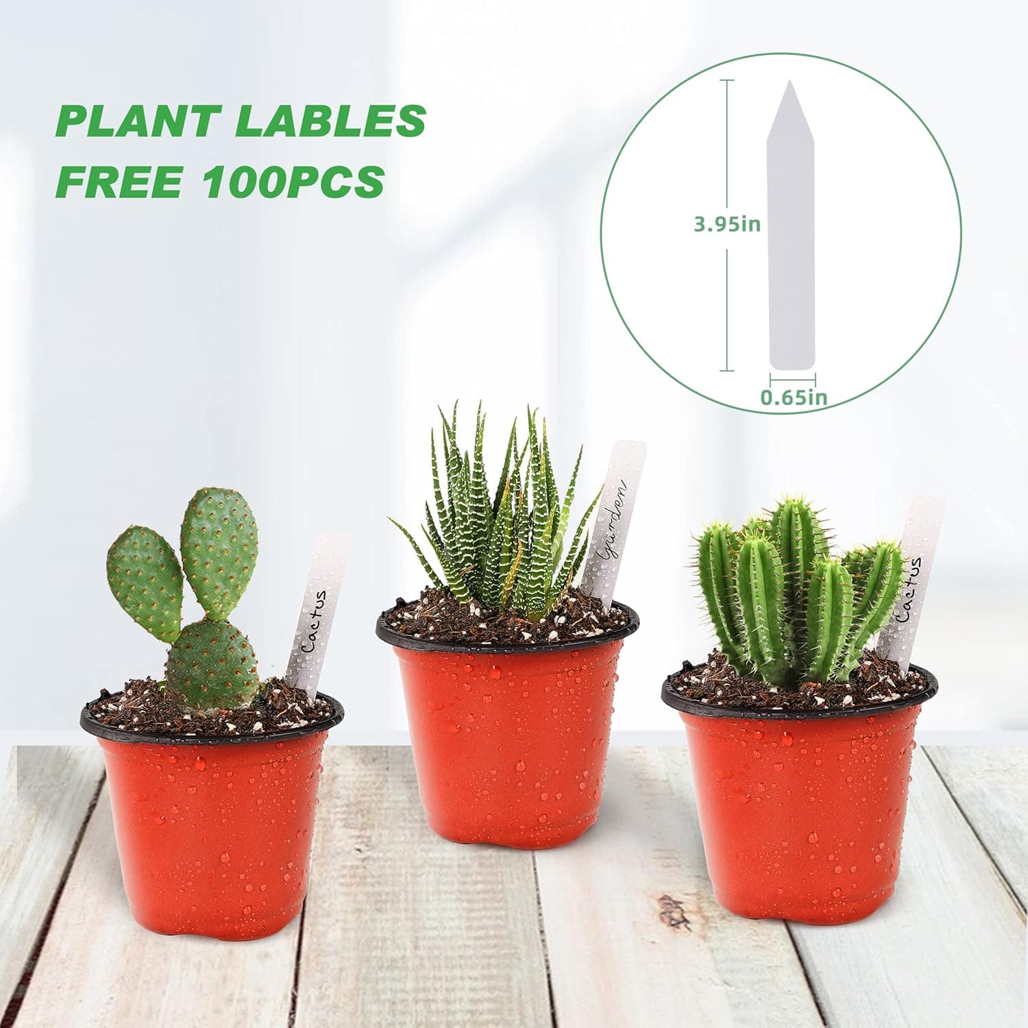 TDHDIKE 4" Small Plastic Plant Nursery Pot/Pots (100pcs) Seedlings Flower Plant Container Seed Starting Pots , Come with 100pcs Plant Labels : Patio, Lawn &amp; Garden thumbnail 5