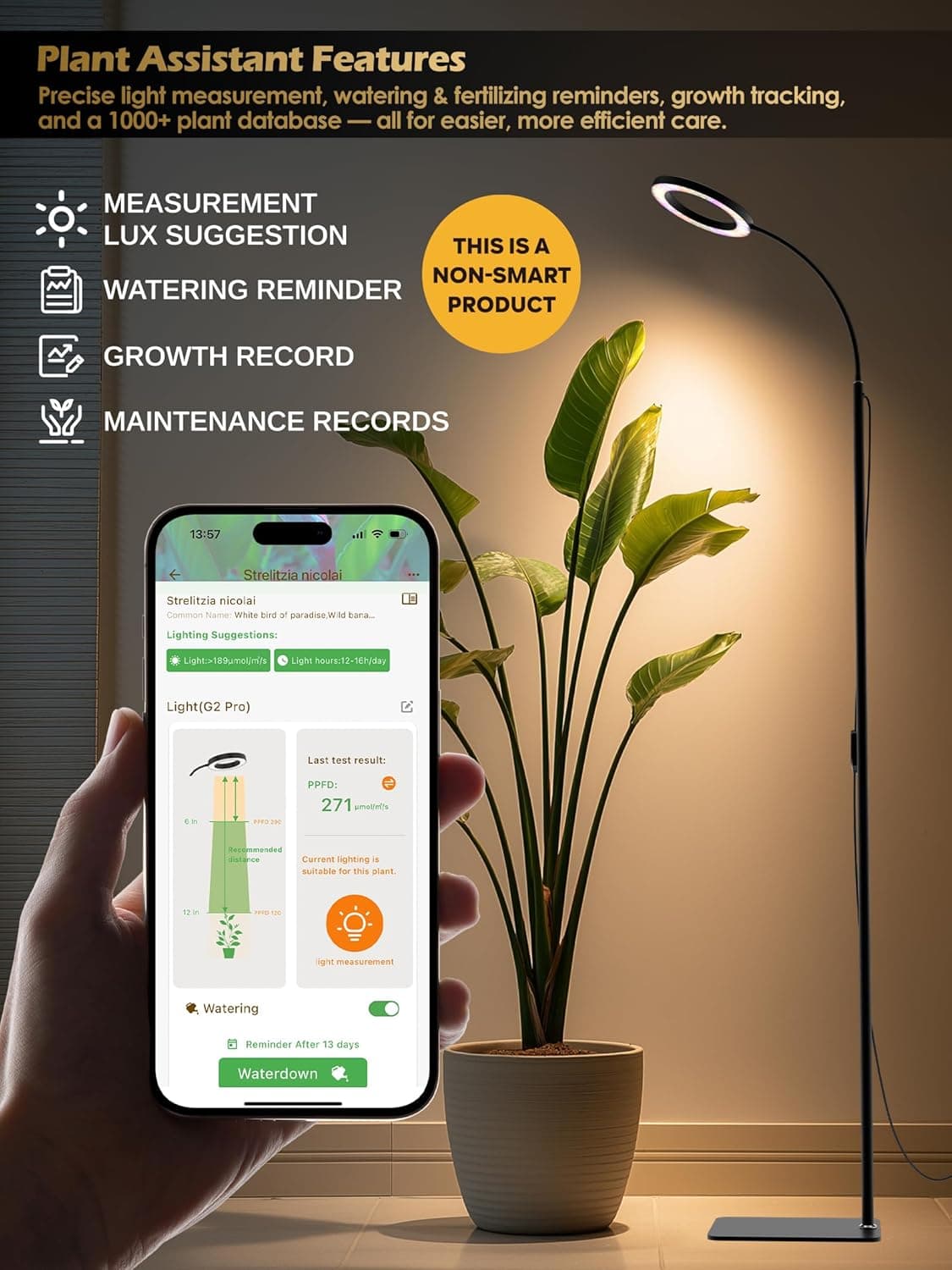 GLOWRIUM Full Spectrum LED Grow Light with Adjustable Height and Timer - 24W thumbnail 3