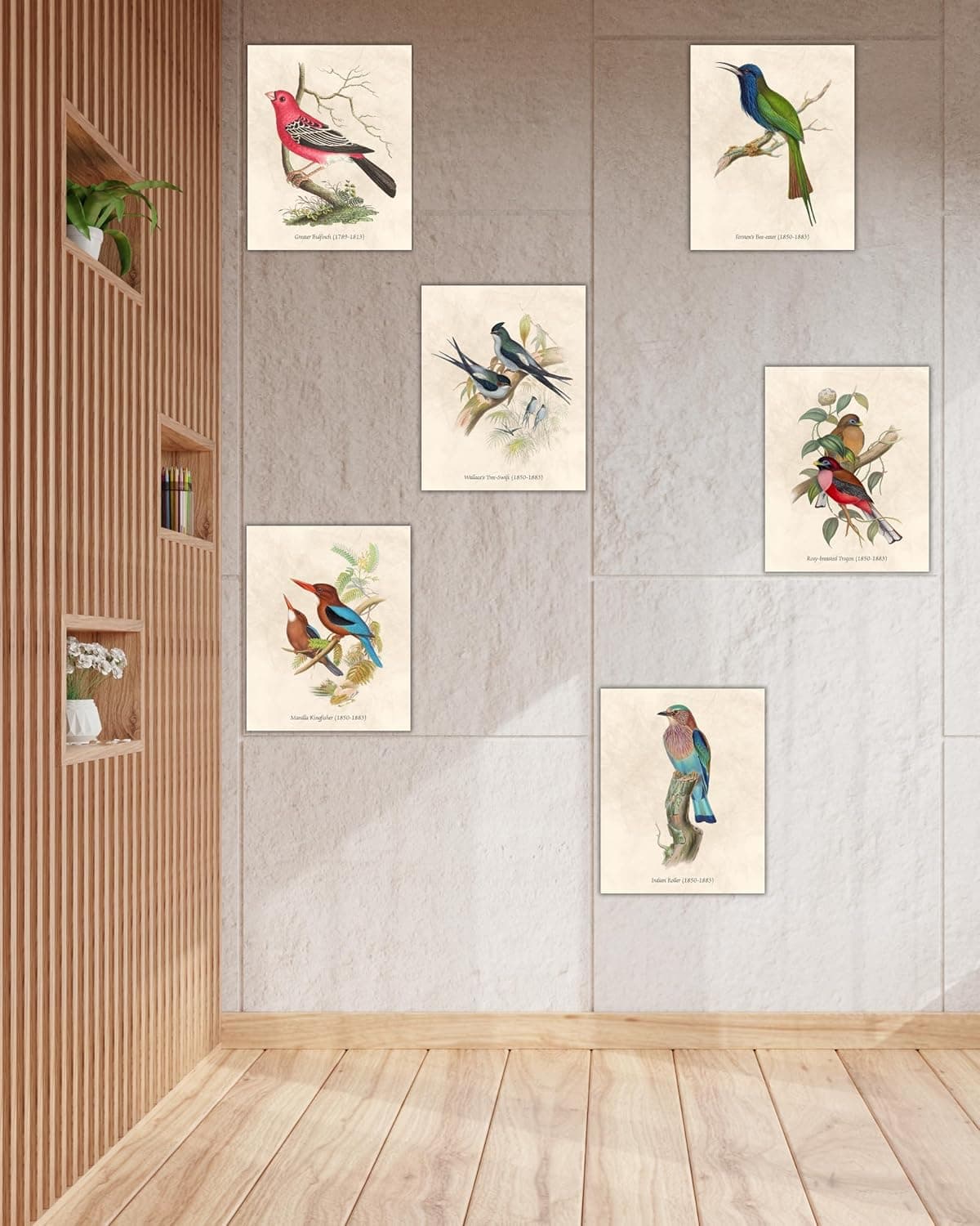 Nilem Design Vintage Bird Wall Art – Set of 6 Unframed 8x10 Prints thumbnail 5