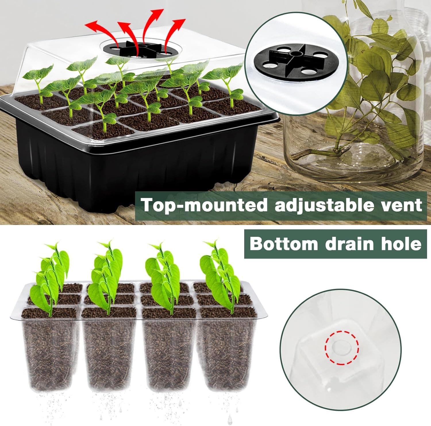 ZeeDix 6 Set Seed Starter Tray Kits, 6 Pack Seed Trays with 90 Pack Coco Coir Pellets, Adjustable Humidity Germination Tray with Dome Lids for Indoor Plants, Mini Greenhouse for Vegetables Garden : Patio, Lawn &amp; Garden thumbnail 3