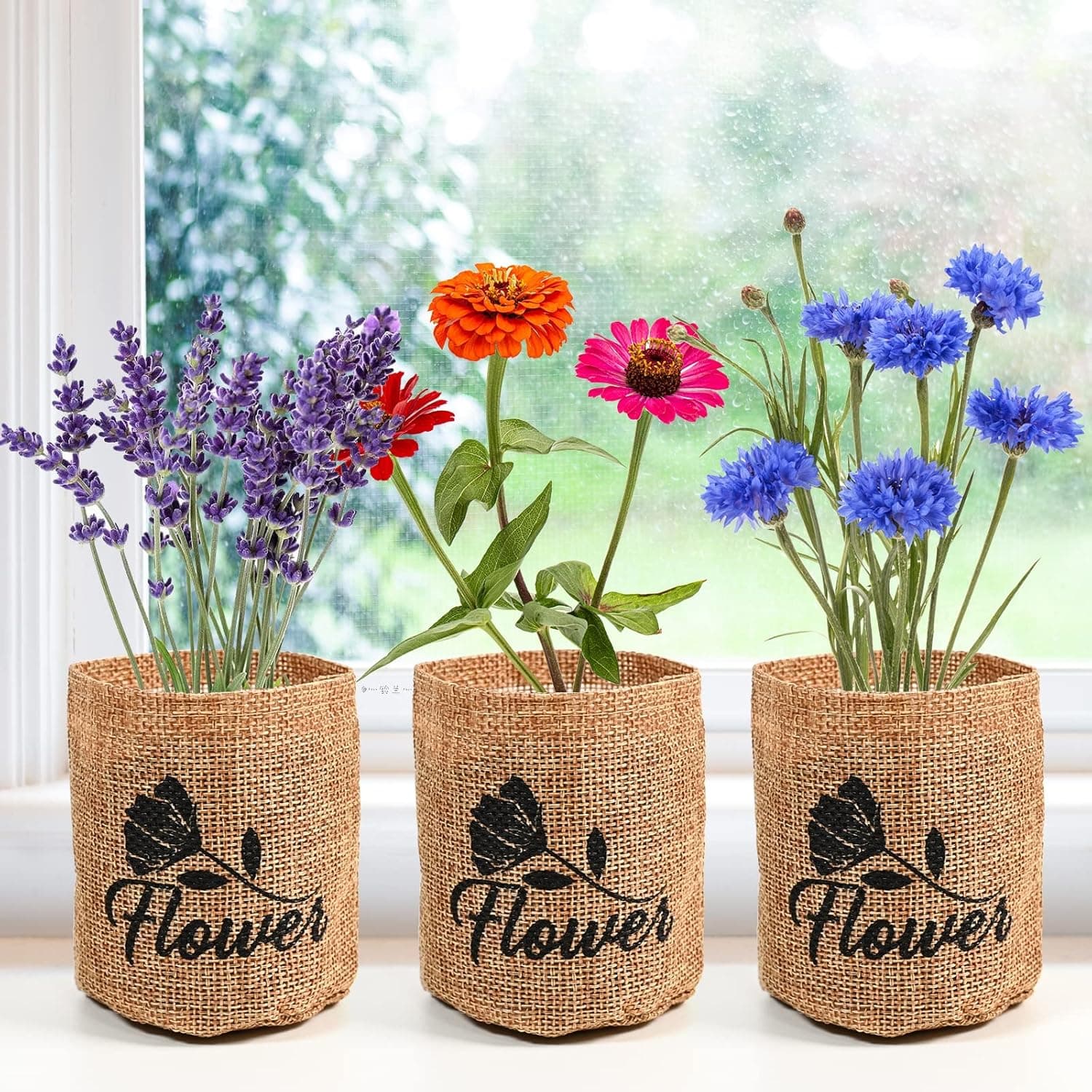 Indoor Daisy Garden Starter Kit with Gardening Tools thumbnail 5