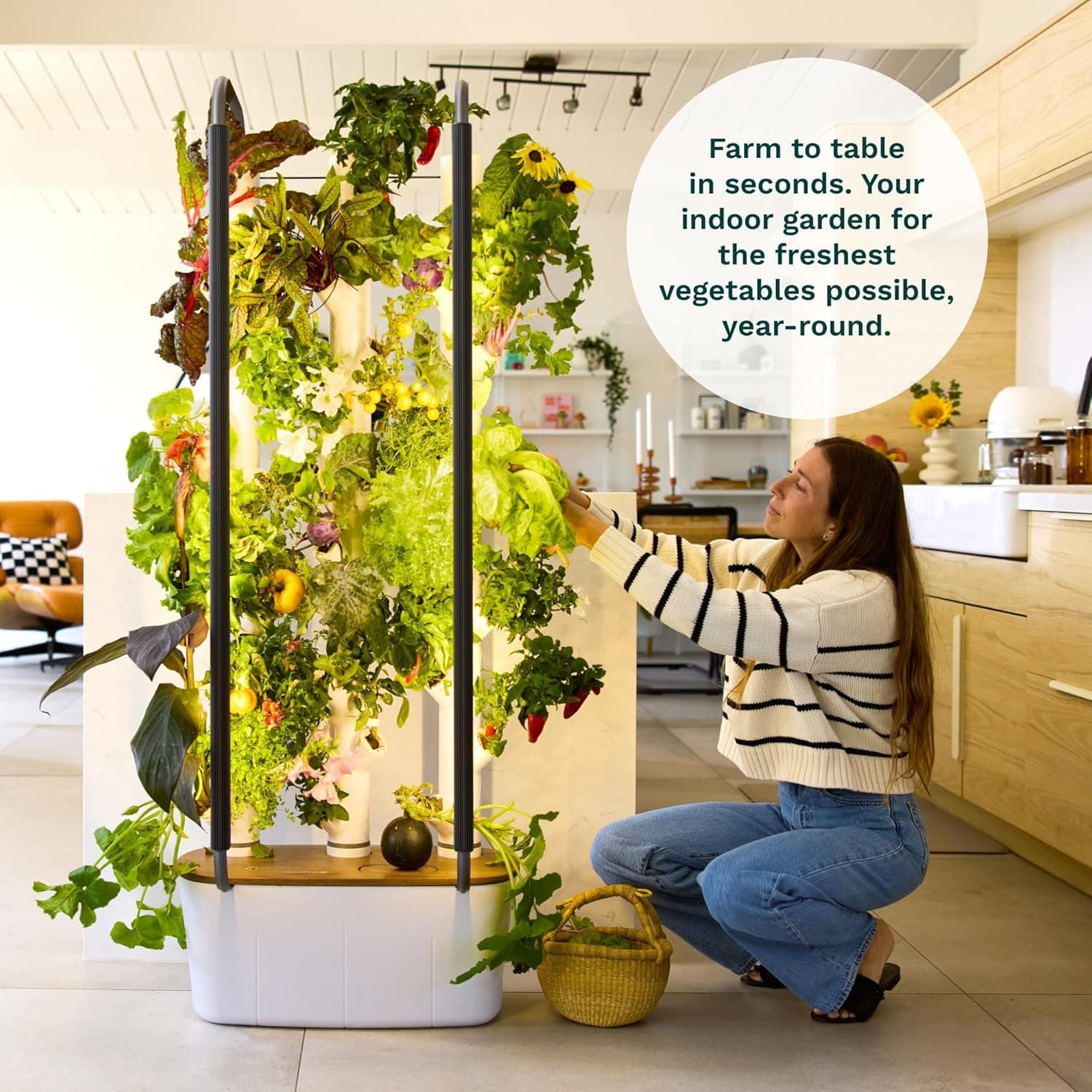 Gardyn Home 4 Vertical Hydroponics Growing System Kit - 30 Non-GMO Plants, Herbs, Vegetables - Smart Tower Garden Hydroponic Herb Garden Planter Indoor Kit - Indoor Gardening System w/LED Grow Lights : Patio, Lawn &amp; Garden thumbnail 4