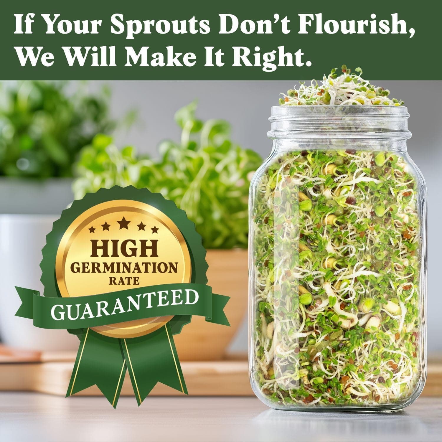 Seedboy Organic Non-GMO Fresh Salad Blend Sprouting Seeds &amp; Kit – Includes Jar, Lid &amp; Stand – USA Grown Microgreens Mix – 8 oz Bag Makes 24 Servings (Sprouting Jar/Salad Blend) : Patio, Lawn &amp; Garden thumbnail 4