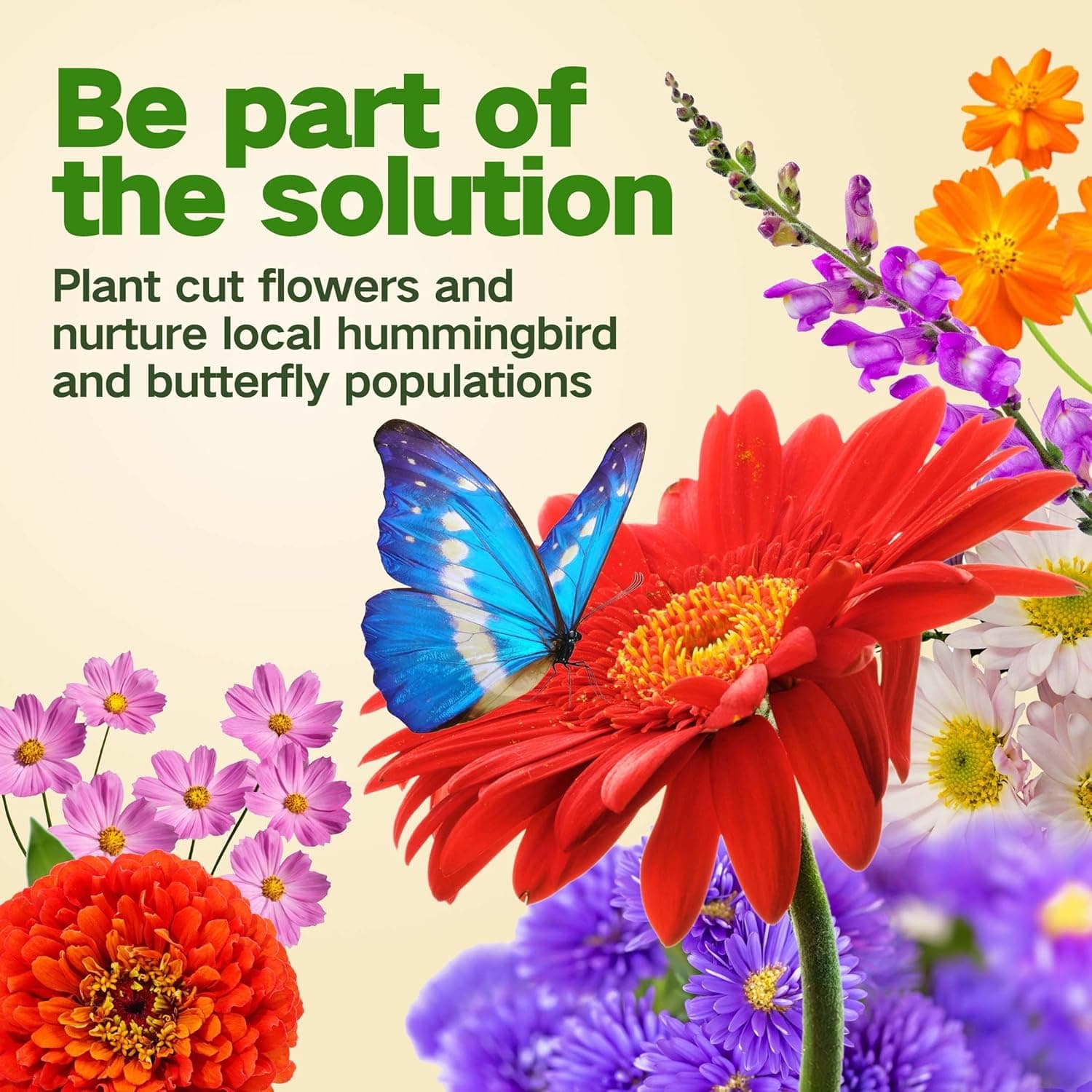 Lush & Dew Cut Flower Seed Bank - 32 Varieties Non-GMO Wildflower Seeds thumbnail 5