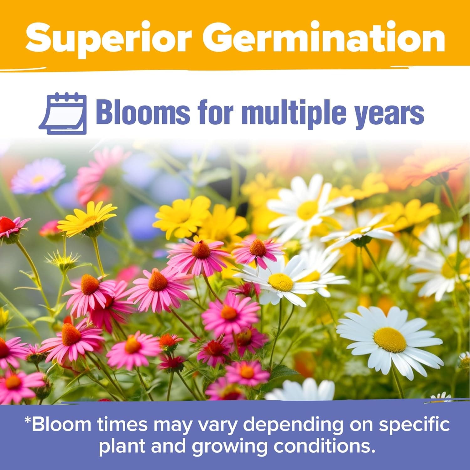 HOME GROWN Wildflower Seeds Bulk 4 oz 63,200+ Seeds 19 Varieties Non-GMO Perennial Mix, Butterfly &amp; Pollinator Flower Seeds, Attract Bees, Birds &amp; Hummingbirds, Outdoor Planting : Patio, Lawn &amp; Garden thumbnail 3