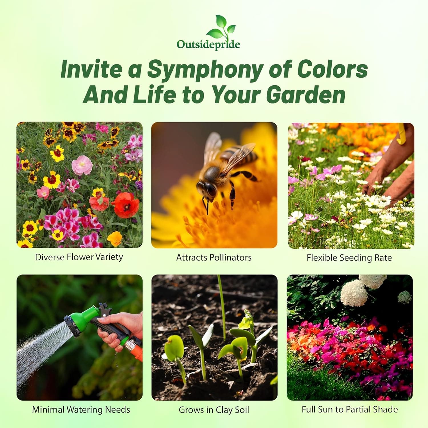 Outsidepride Pollinator Wildflower Seed Mix - 1 lb Flower Seeds for Attracting Pollinators, Ideal for All States, Enhances Garden Biodiversity, Supports Bees, Butterflies &amp; Beneficial Insects : Patio, Lawn &amp; Garden thumbnail 2