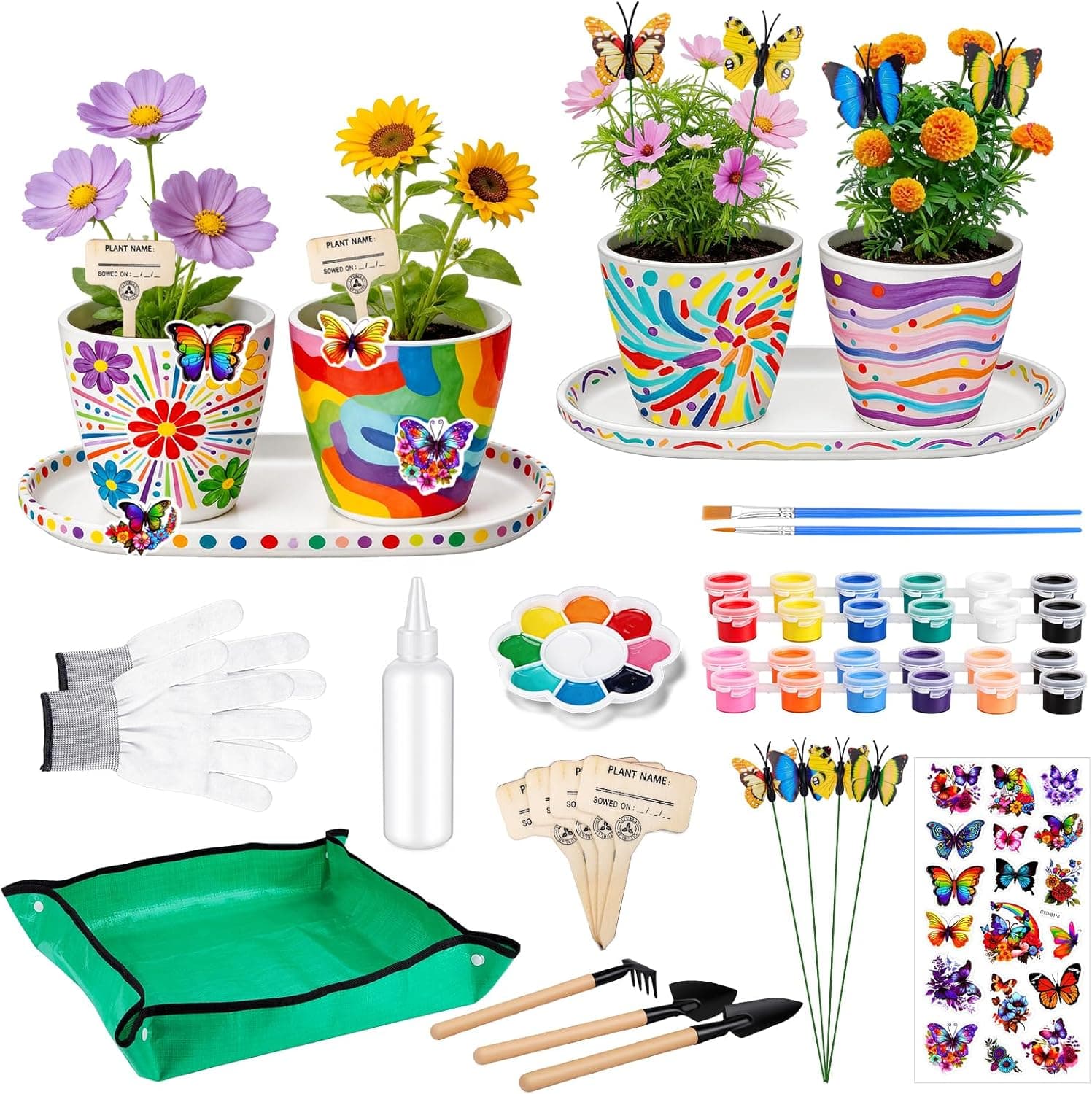 Hysagtek Paint & Plant Flower Growing Kit image 1