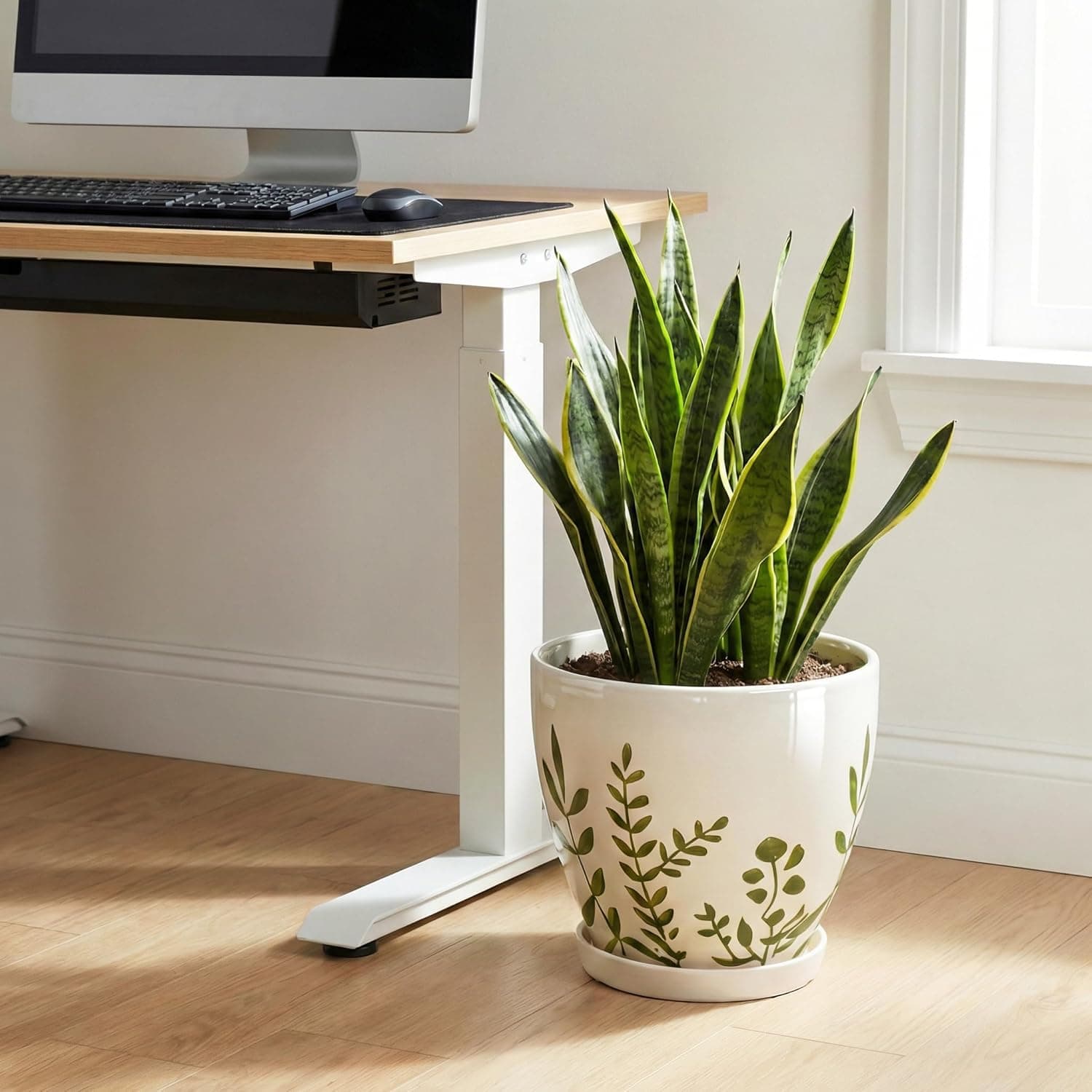 MPotTo 10 Inch Plant Pot - Ceramic Planter for Indoor Outdoor Flowers, Decorative Round Indoor Flower Pot with Drainage Hole and Saucer, Plant Lover Gifts, Garden Patio Home Office Decor, White : Patio, Lawn &amp; Garden thumbnail 4