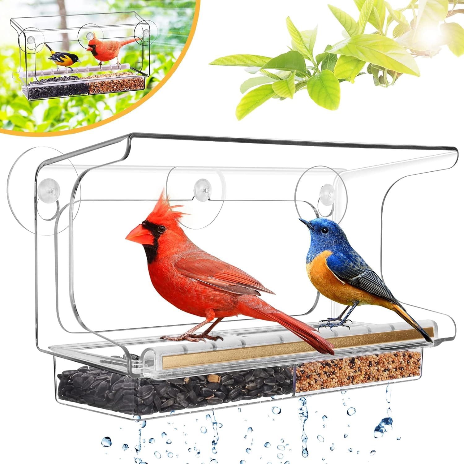 LUJII Shatterproof Window Bird Feeder with Strong Suction Cups — Spring Gift Ideas gift idea