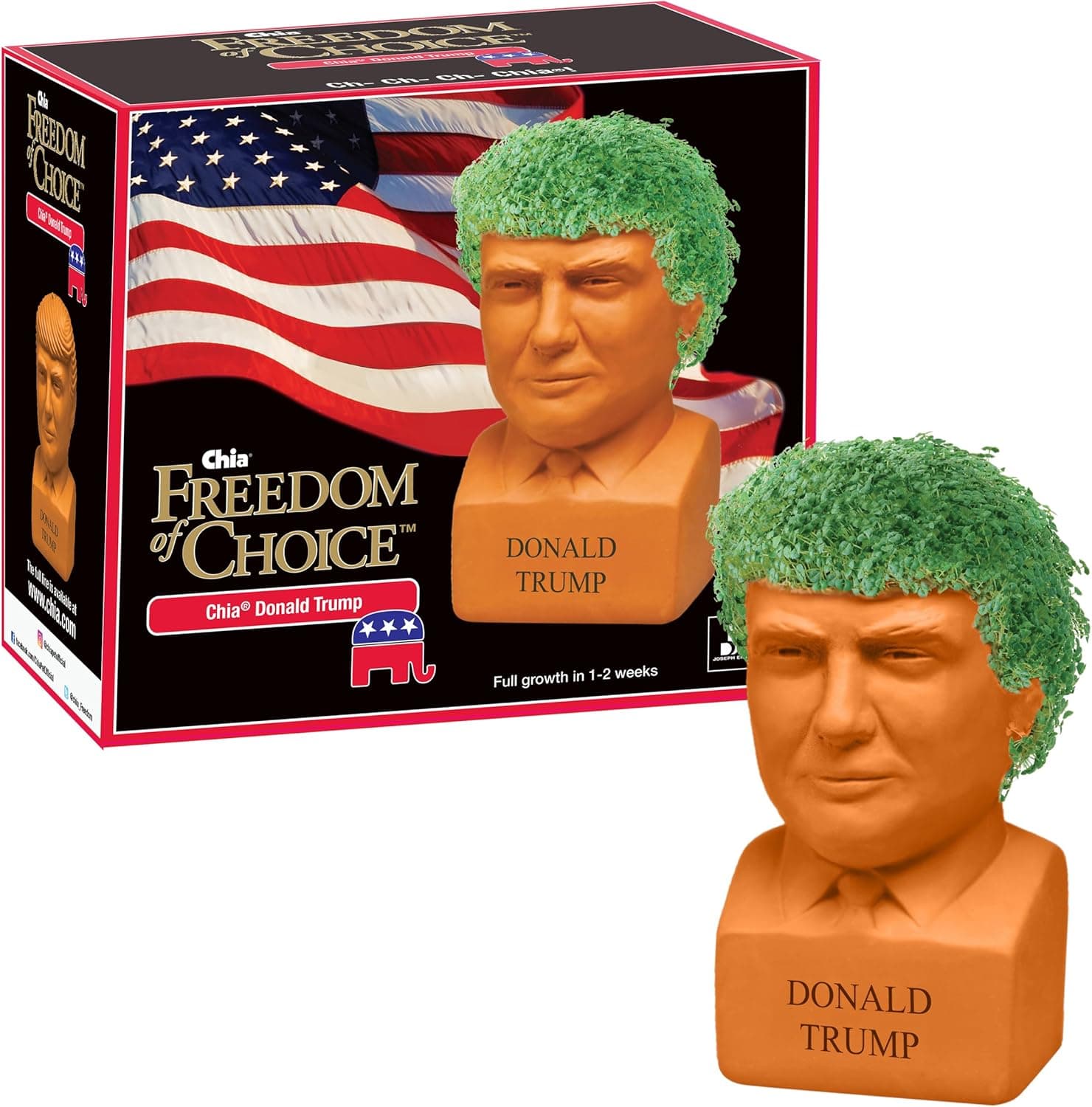 Chia Pet Donald Trump view 1