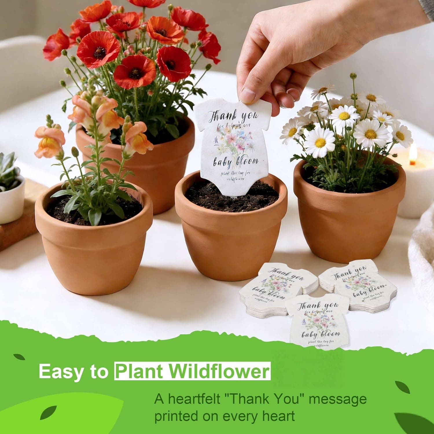 BuggyBeds Plantable Seed Paper Greeting Cards with Wildflower Seeds, 24 Pack thumbnail 2