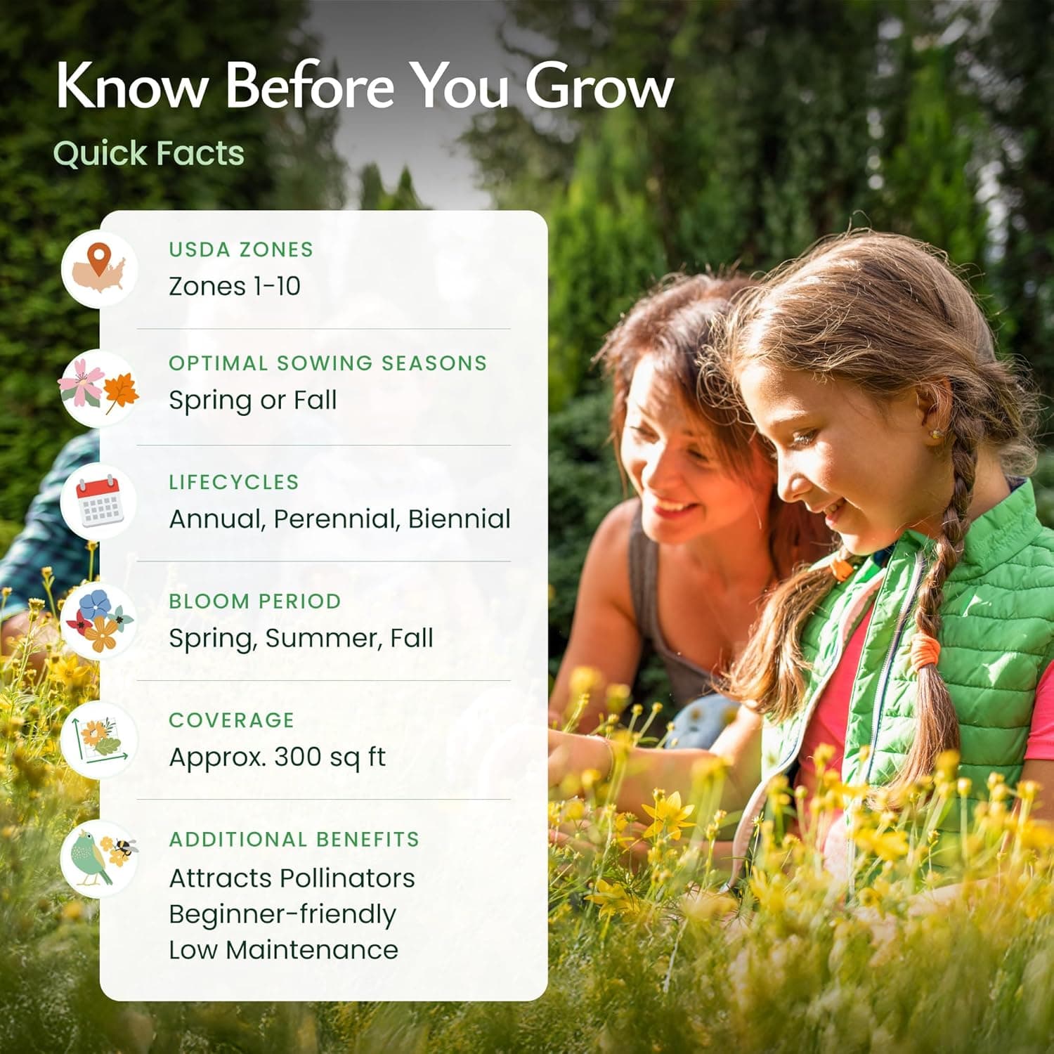 Created By Nature California Wildflower Seed Mix with Poppies, 22 Flower Varieties, 54,000+ Seeds : Patio, Lawn &amp; Garden thumbnail 5