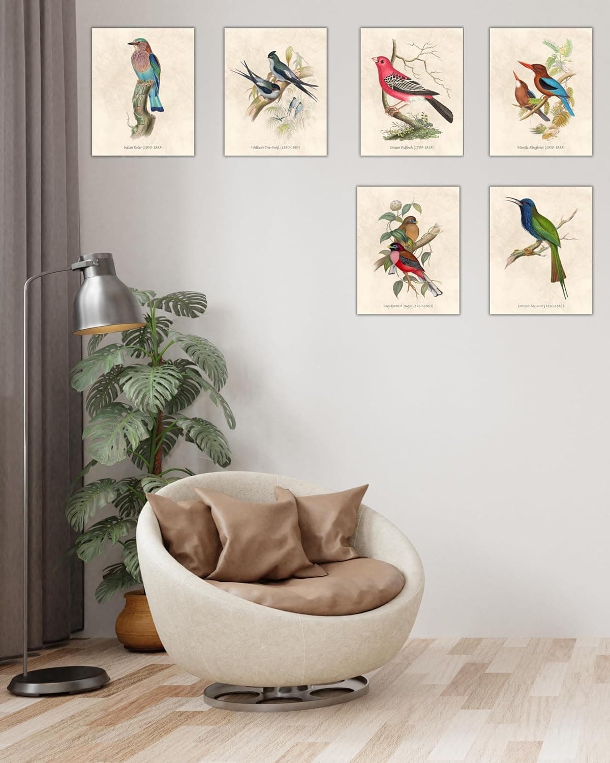 Nilem Design Vintage Bird Wall Art – Set of 6 Unframed 8x10 Prints thumbnail 3
