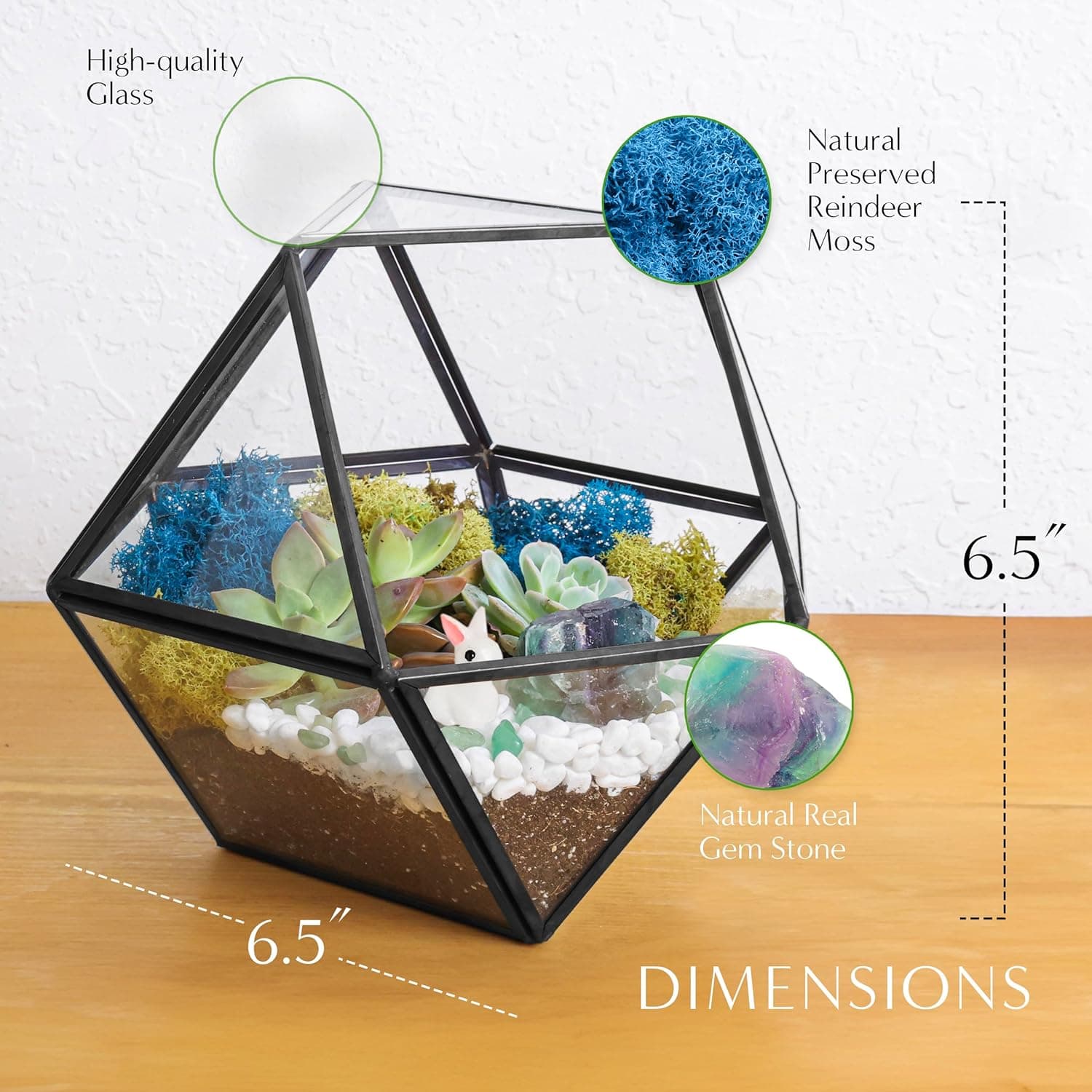 Creations by Nathalie DIY 7" Geometric Terrarium Kit with Live Plants thumbnail 4