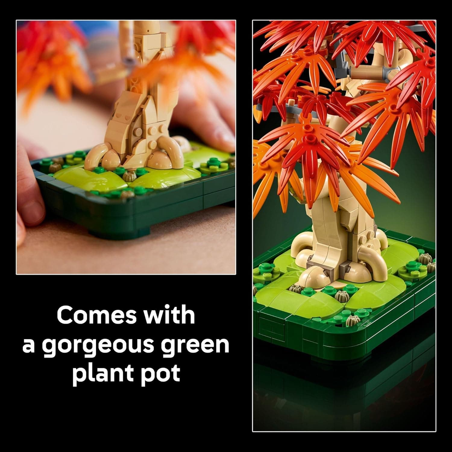LEGO Botanicals Japanese Red Maple Bonsai Tree Kit thumbnail 5
