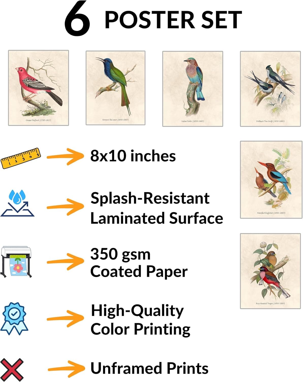 Nilem Design Vintage Bird Wall Art – Set of 6 Unframed 8x10 Prints thumbnail 2