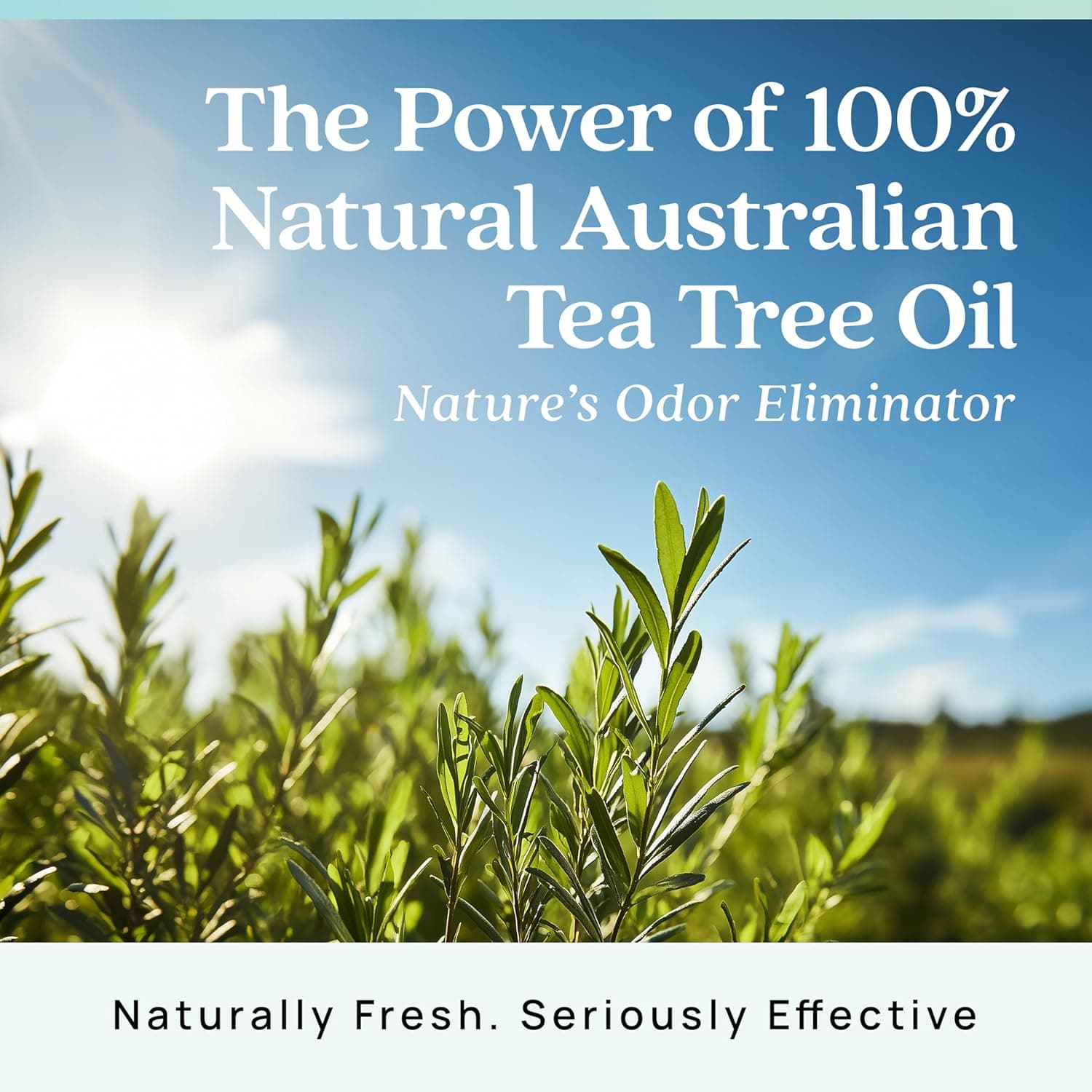 Azuna Air Freshener & Odor Eliminator Gel 4 Room Kit thumbnail 5