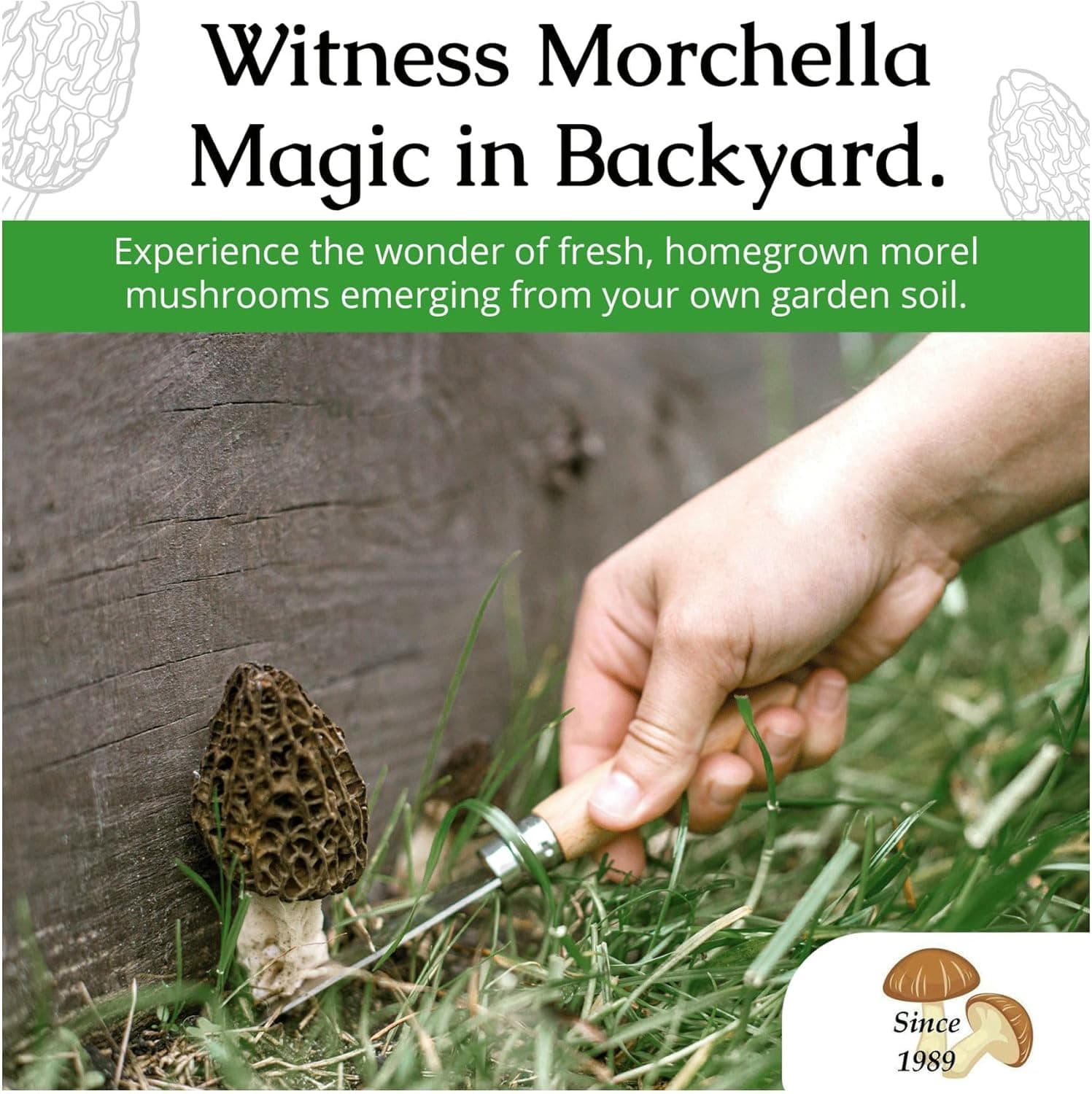 Garden Morel Mushroom Grow Kit - MOREL HABITAT KIT thumbnail 5