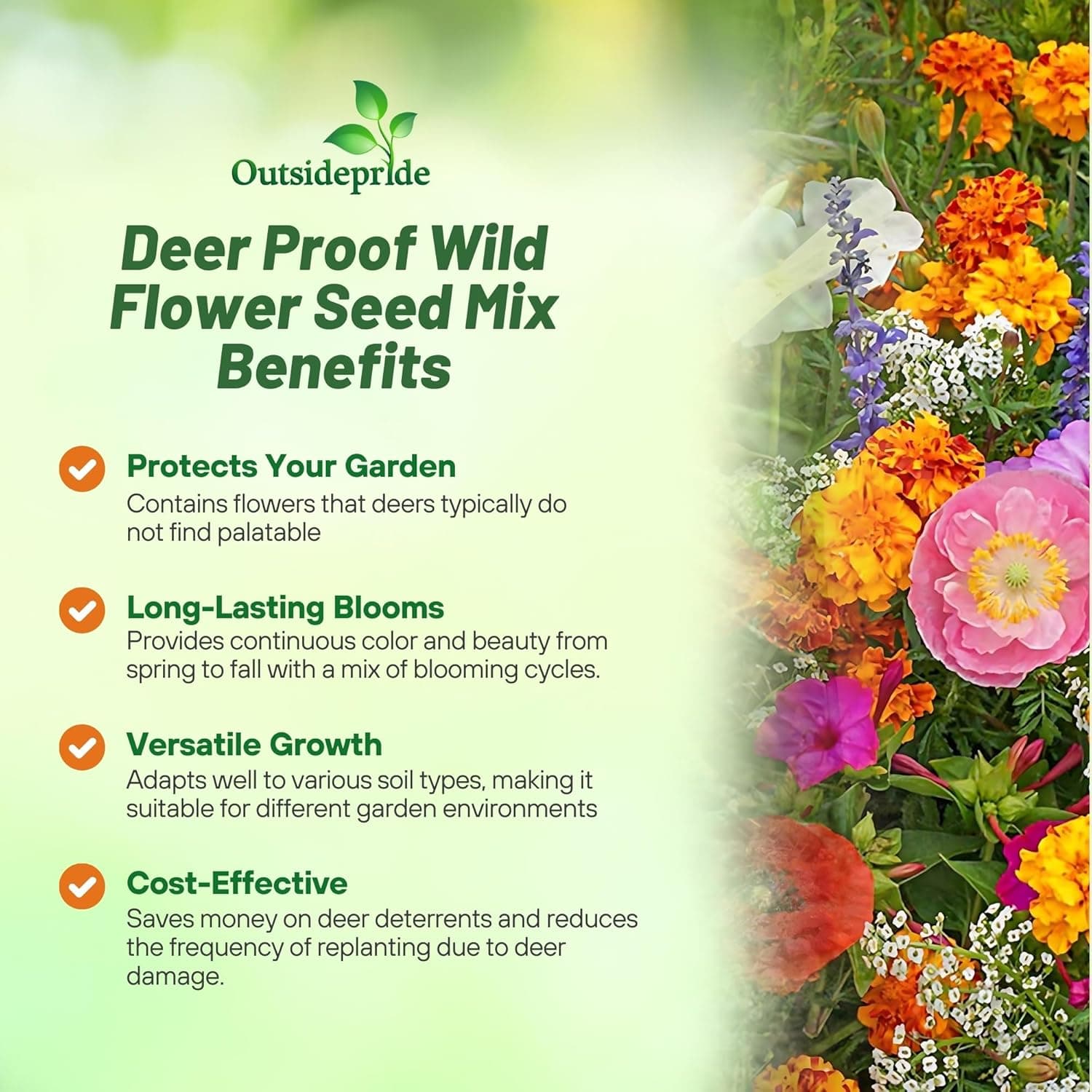 Outsidepride Deer Proof Wildflower Seed Mix - 1 lb. Colorful Blend of Easy to Grow, Drought-Tolerant Annual &amp; Perennial Wildflower Seeds for a Deer-Free,Vibrant Meadow &amp; Pollinator-Friendly Garden : Flowering Plants : Patio, Lawn &amp; Garden thumbnail 3