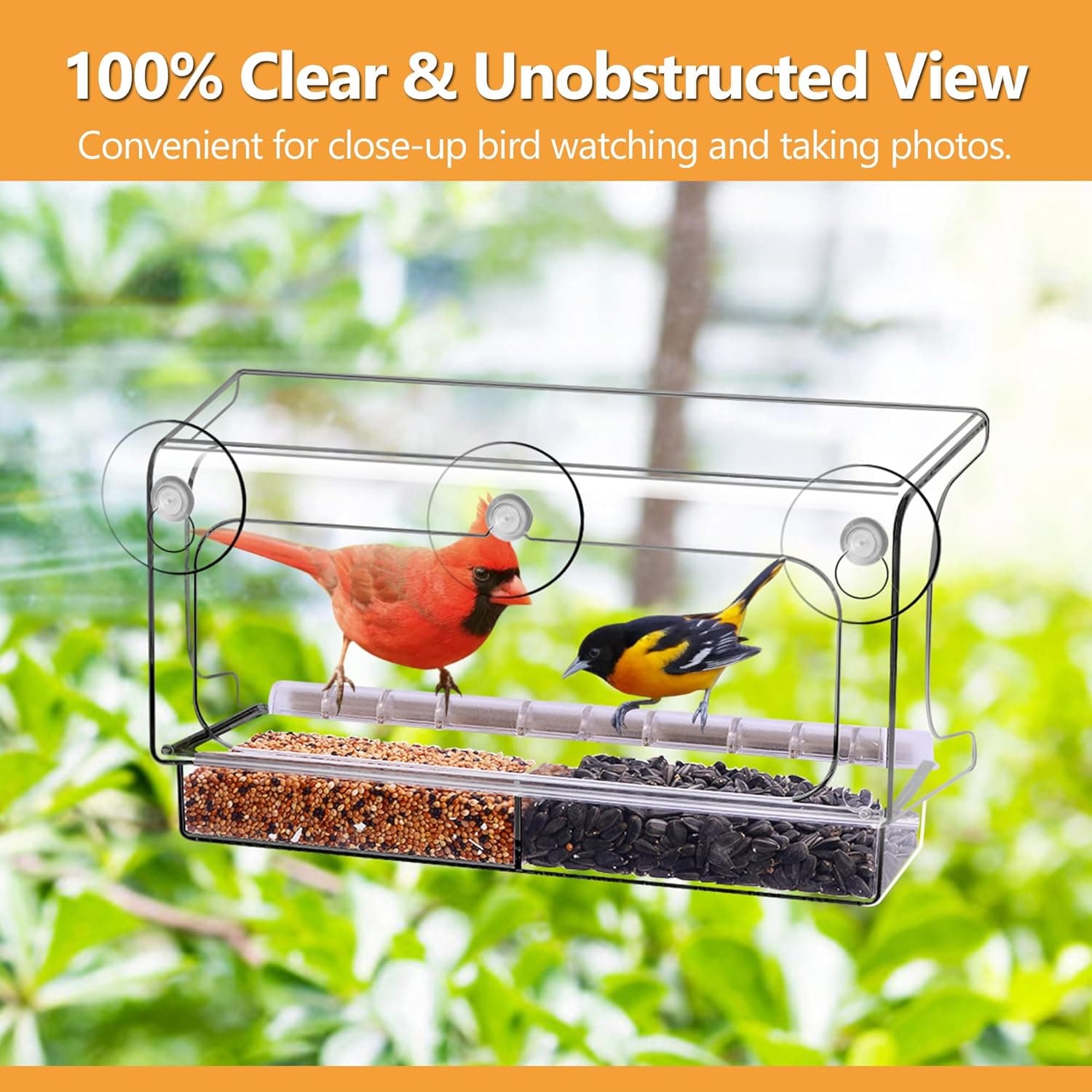 LUJII Shatterproof Window Bird Feeder with Strong Suction Cups thumbnail 5