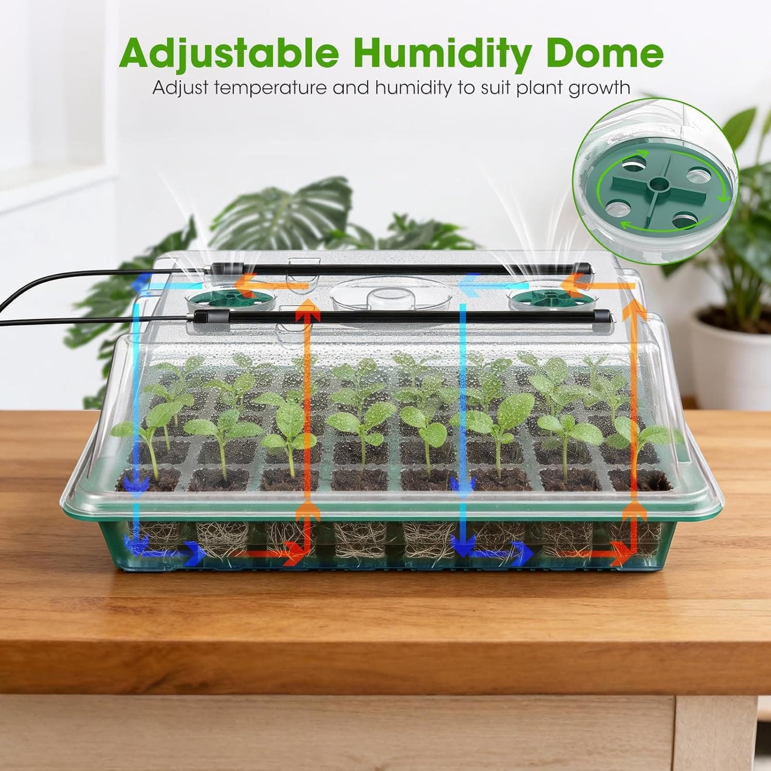 Seed Starter Tray with Grow Light, 2 Pack 80-Cell Seedling Starter Kit with Smart Timer &amp; Humidity Dome, Indoor Plant Germination Kit with 100pcs Nursery Bags &amp; 2-in-1 Sprinkler for Seed Starting : Patio, Lawn &amp; Garden thumbnail 3