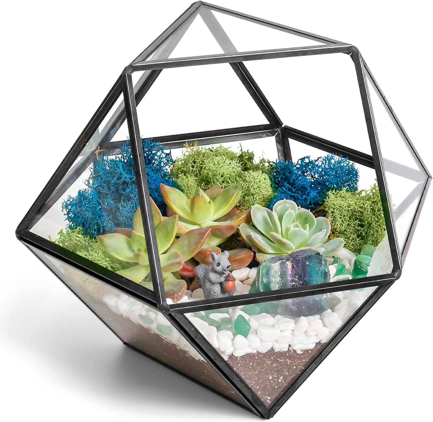 Creations by Nathalie DIY 7" Geometric Terrarium Kit with Live Plants image 1
