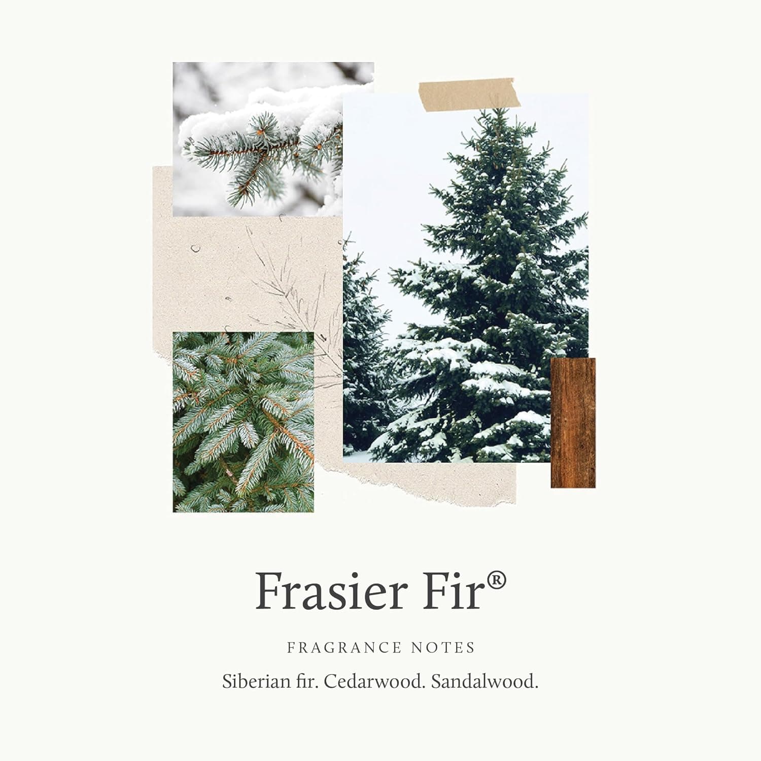 Thymes Reed Diffuser Oil Refill - Frasier Fir thumbnail 3