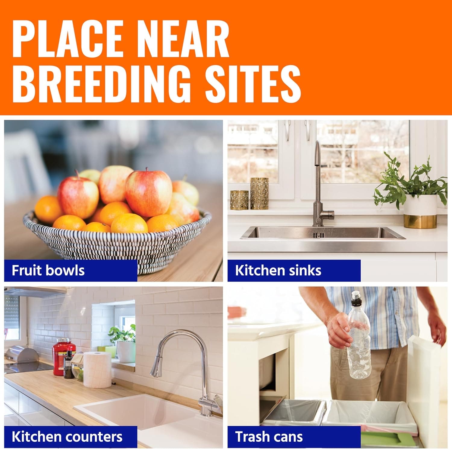 Terro Fruit Fly Traps 6-Pack with 270 Days of Lure Supply thumbnail 5