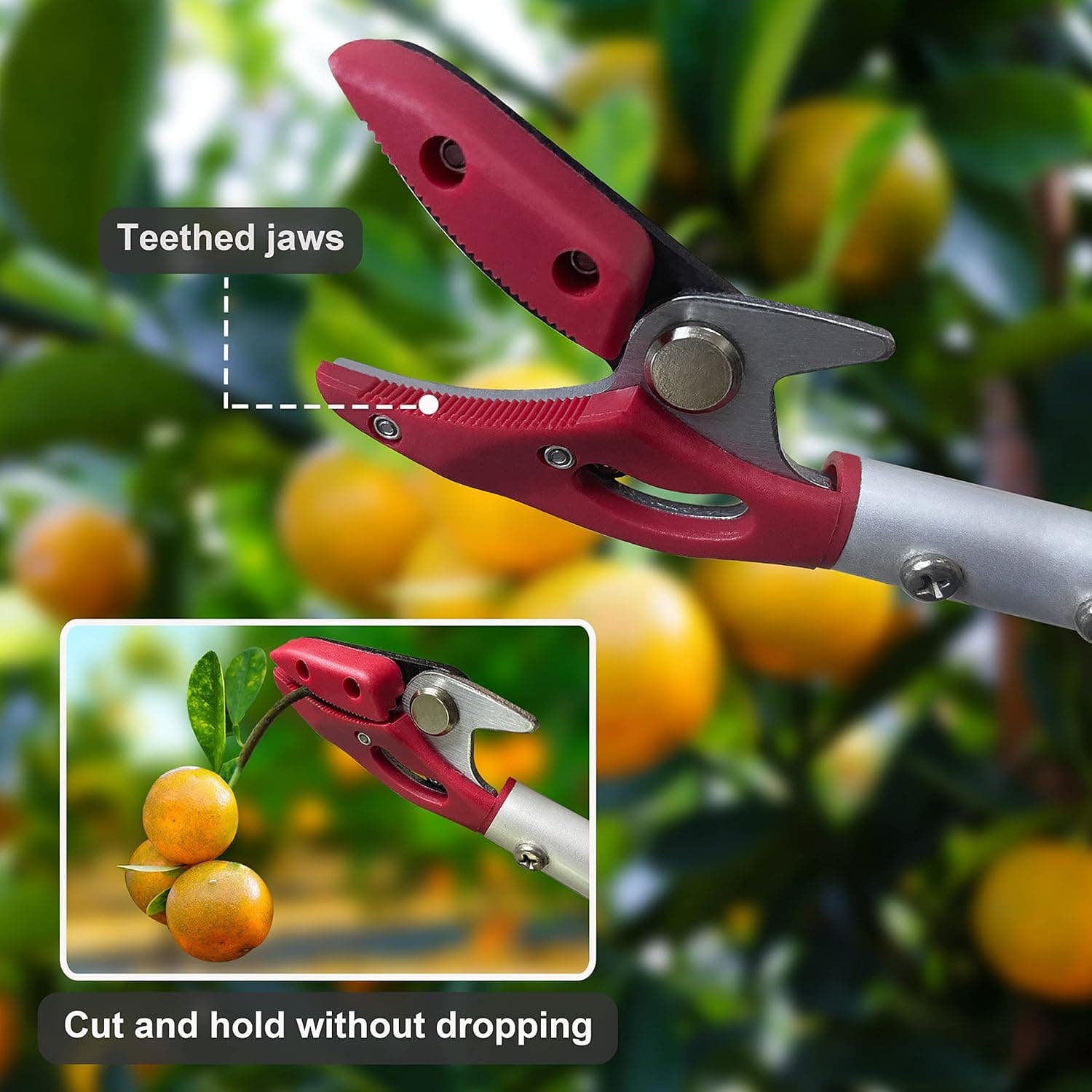 Prunrt 4-Foot Pole Pruner with Cut and Hold Garden Clippers thumbnail 5