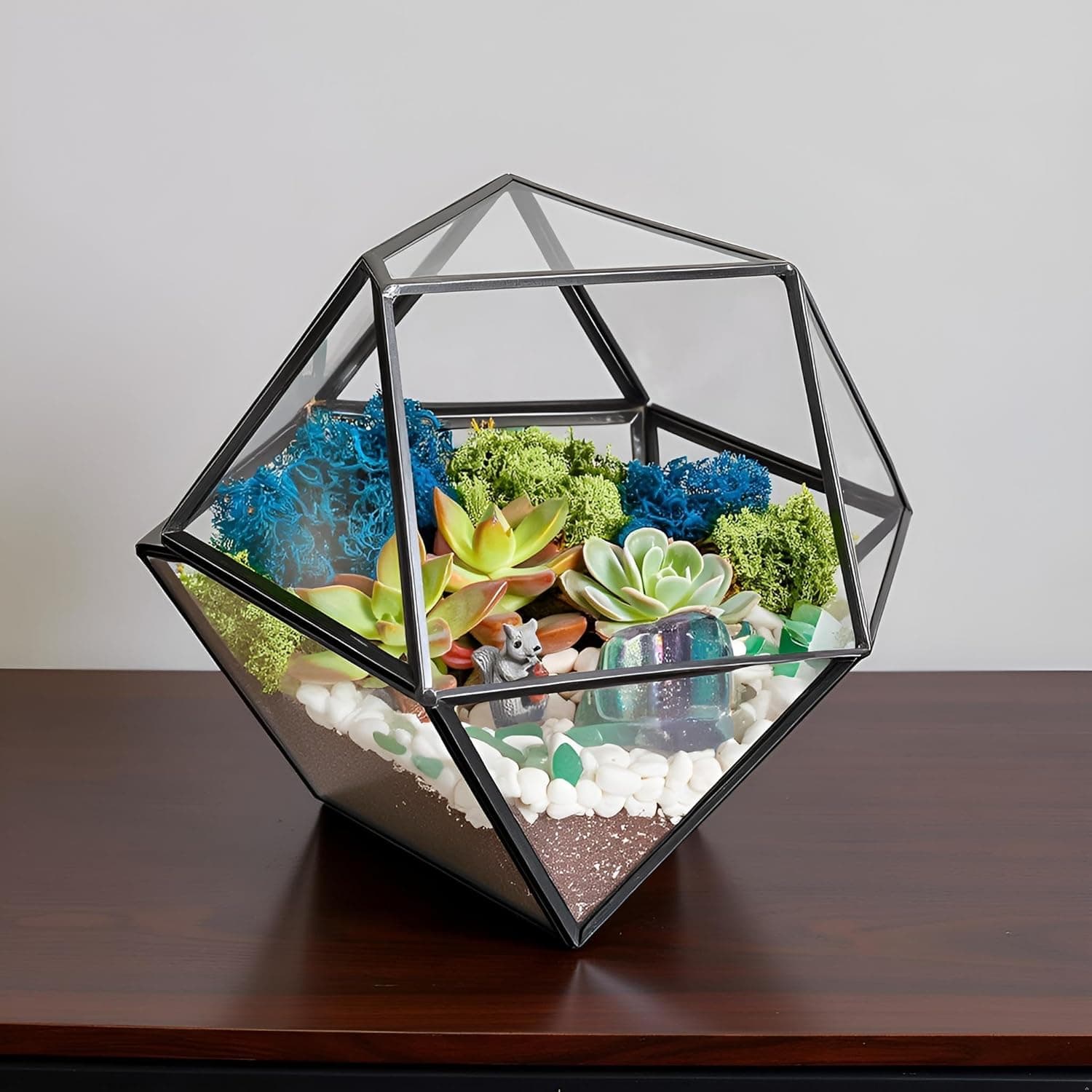 Creations by Nathalie DIY 7" Geometric Terrarium Kit with Live Plants thumbnail 5