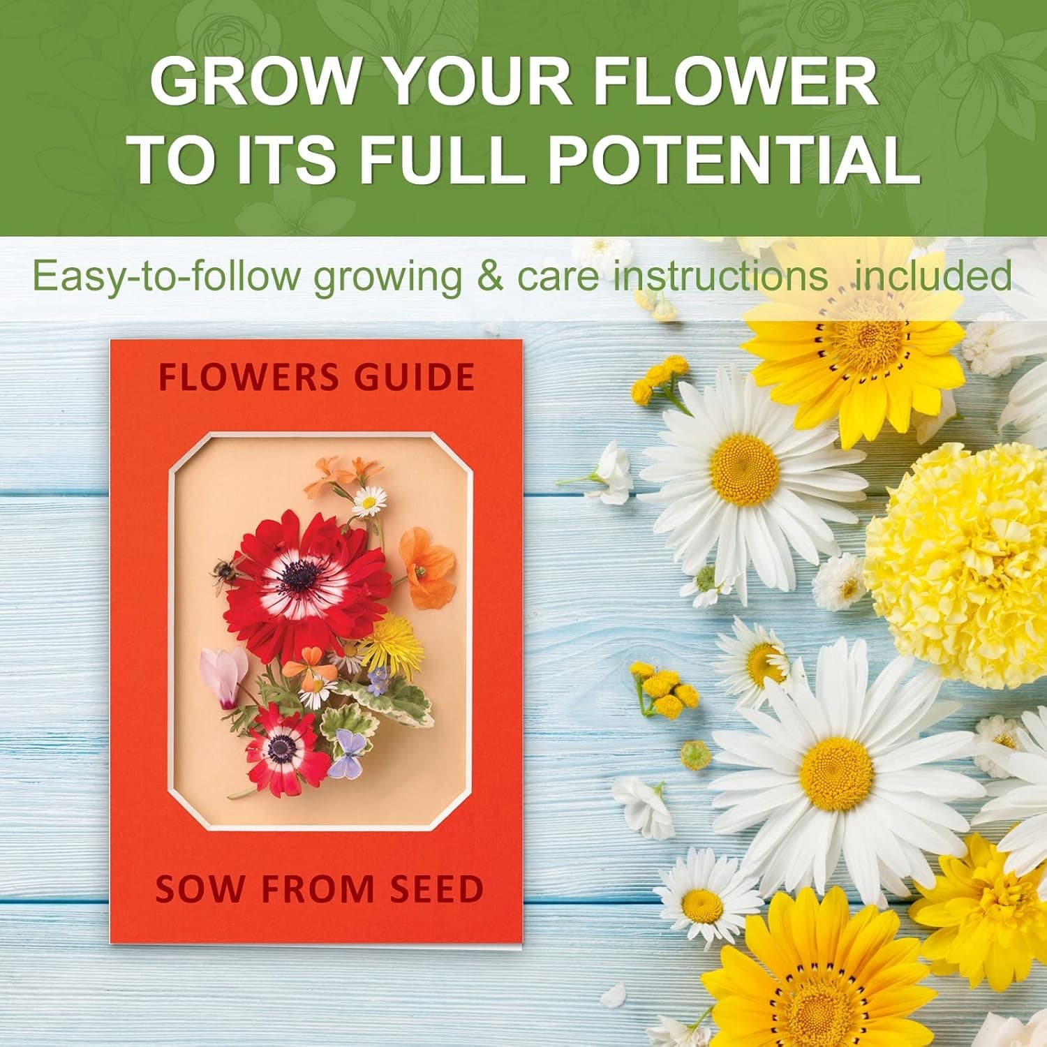 Indoor Daisy Garden Starter Kit with Gardening Tools thumbnail 3