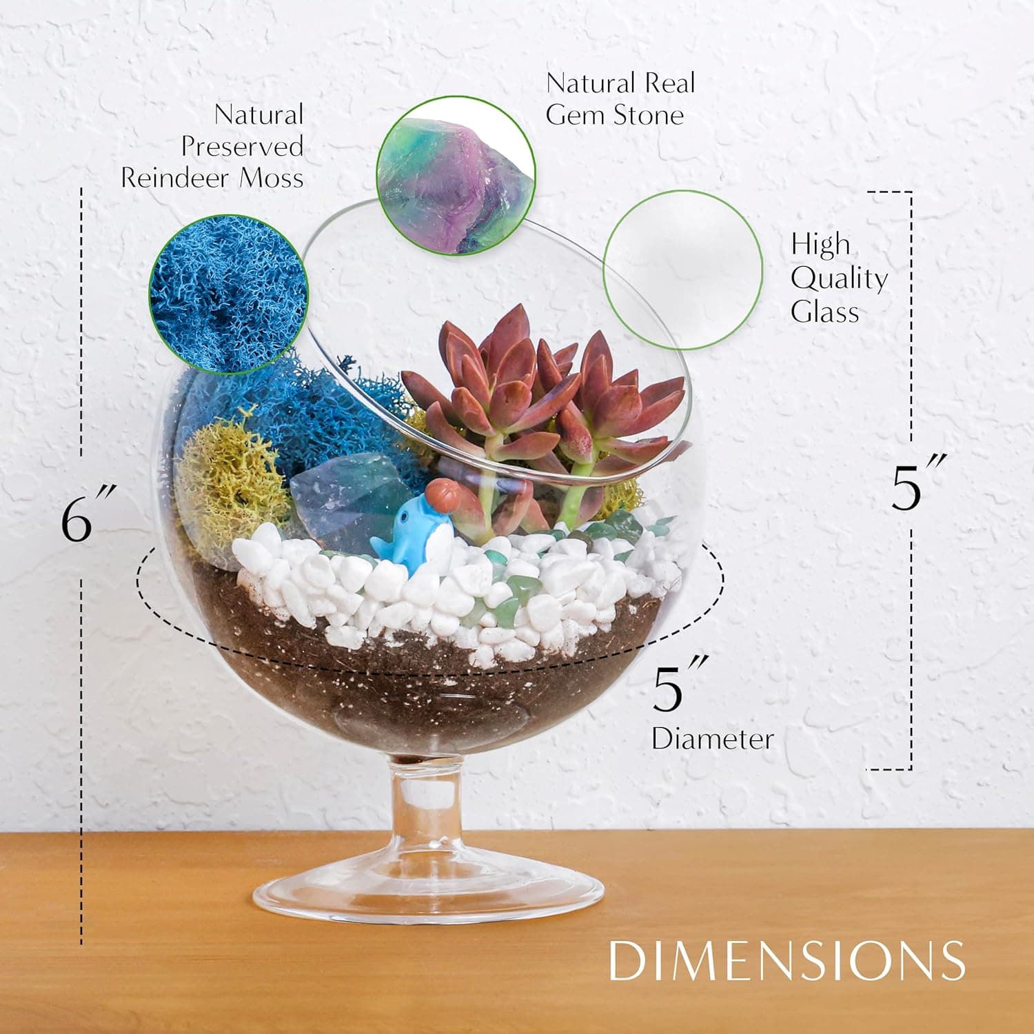 Creations by Nathalie 6" DIY Chalice Terrarium Kit with Live Plants thumbnail 5
