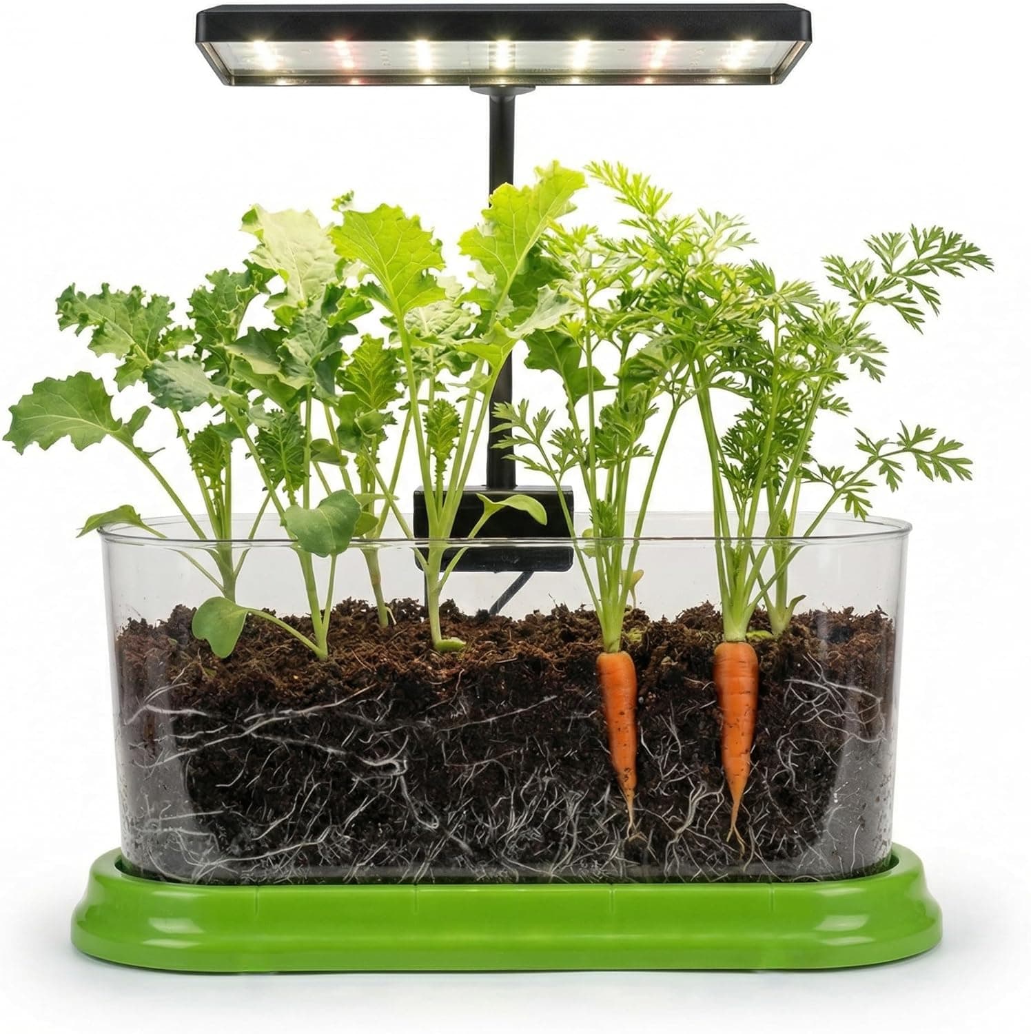 Plant Growing Kit LED Light Gift | Easter Spring