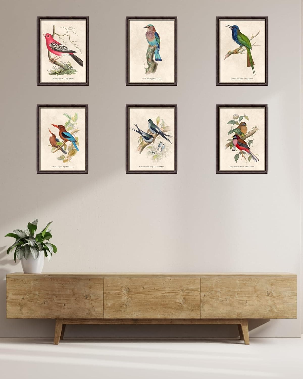 Nilem Design Vintage Bird Wall Art – Set of 6 Unframed 8x10 Prints thumbnail 4