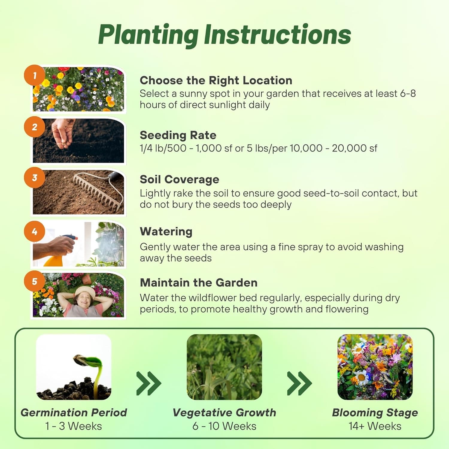 Outsidepride Deer Proof Wildflower Seed Mix - 1 lb. Colorful Blend of Easy to Grow, Drought-Tolerant Annual &amp; Perennial Wildflower Seeds for a Deer-Free,Vibrant Meadow &amp; Pollinator-Friendly Garden : Flowering Plants : Patio, Lawn &amp; Garden thumbnail 4