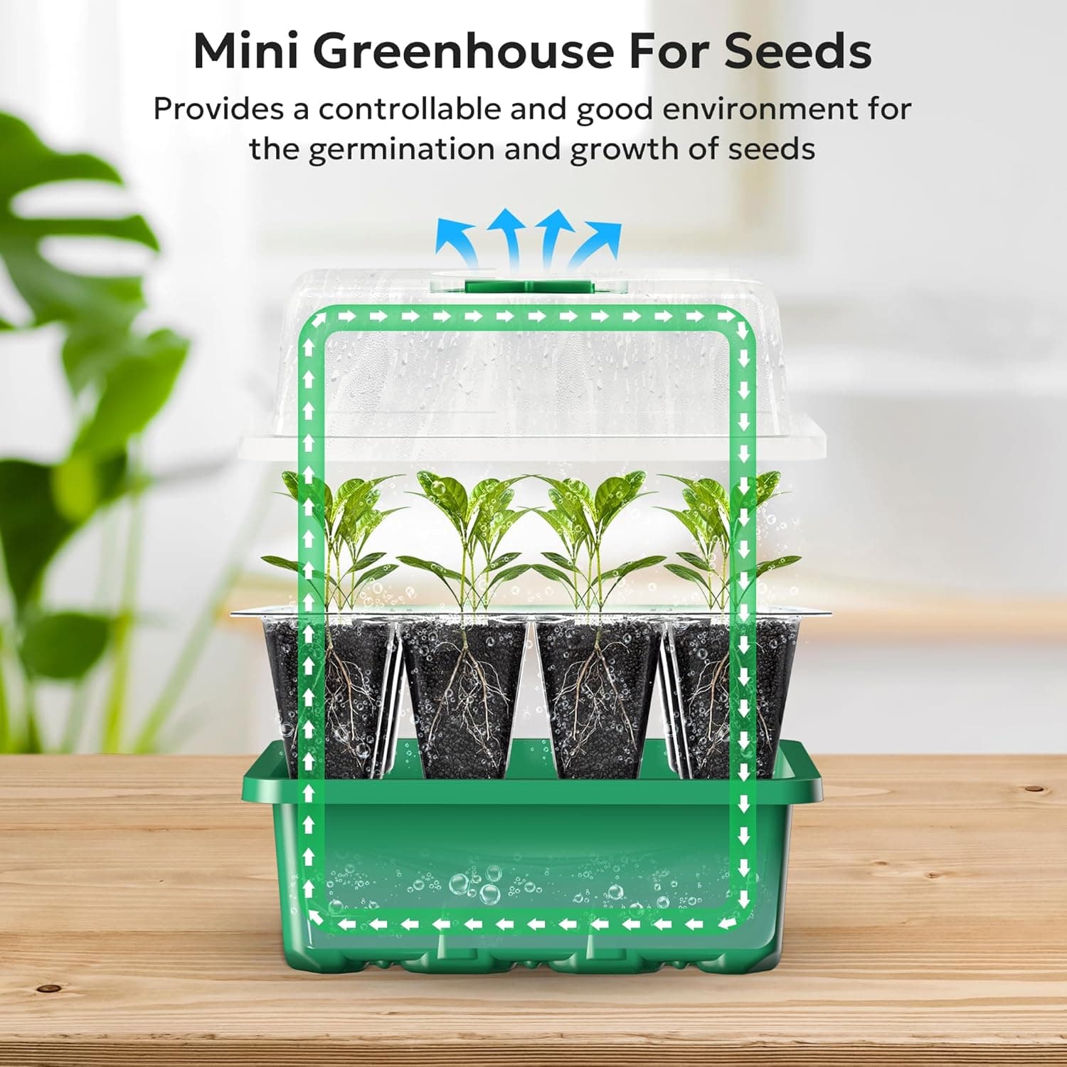 MIXC 10 Packs Seed Starter Tray Seed Starter Kit with Humidity Dome (120 Cells Total Tray) Seed Starting Trays Plant Starter Kit and Base Mini Greenhouse Germination Kit for Seeds Growing Starting : Patio, Lawn &amp; Garden thumbnail 4