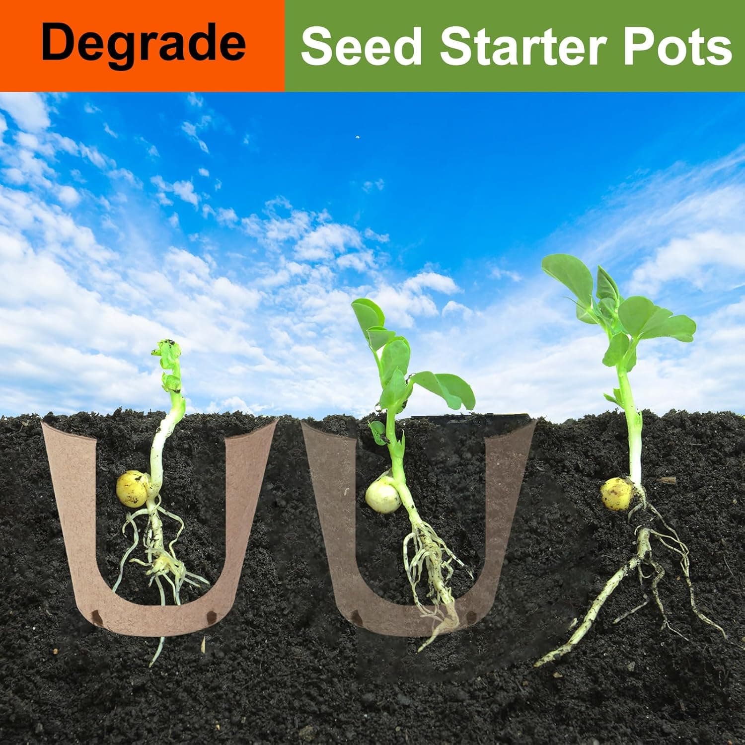 130 Pack Organic Peat Pots with Plant Labels thumbnail 3