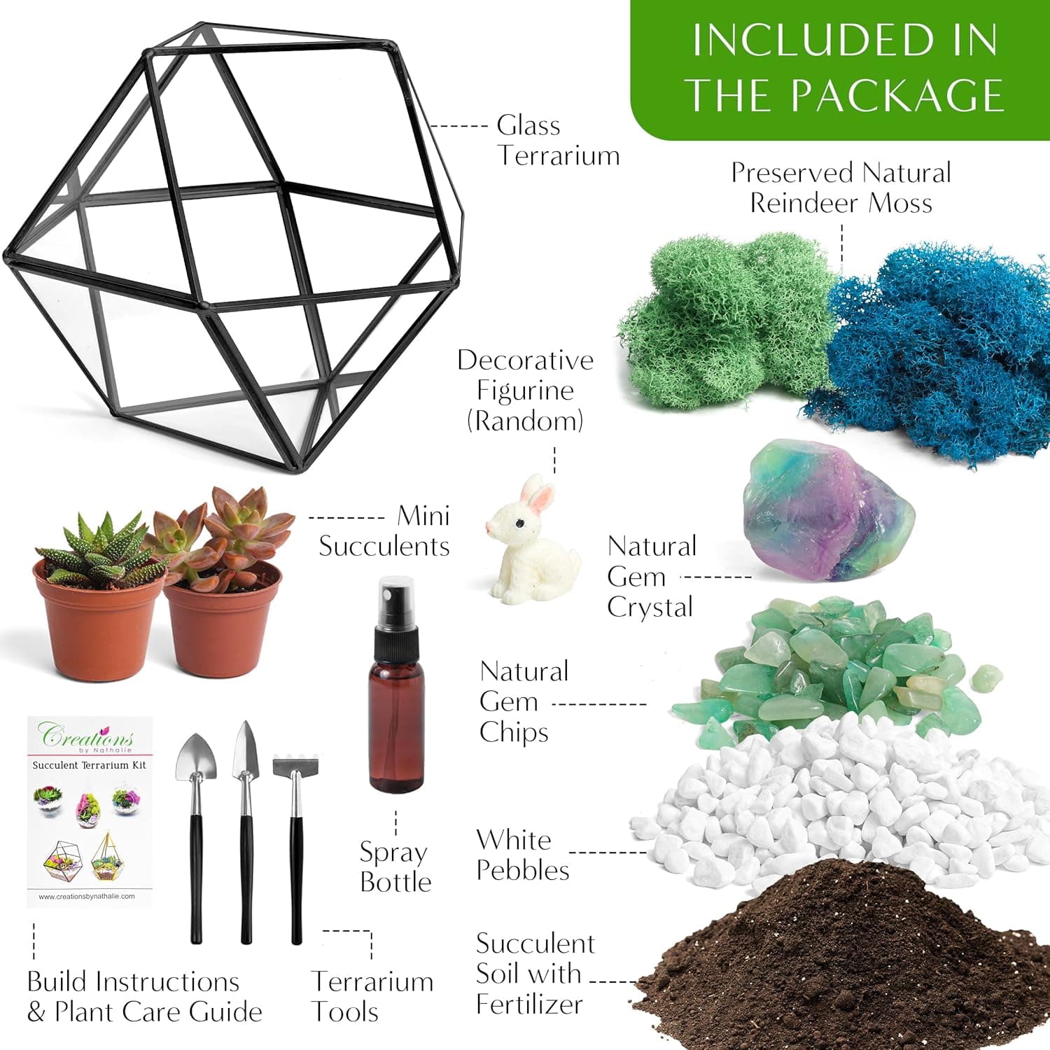 Creations by Nathalie DIY 7" Geometric Terrarium Kit with Live Plants thumbnail 2