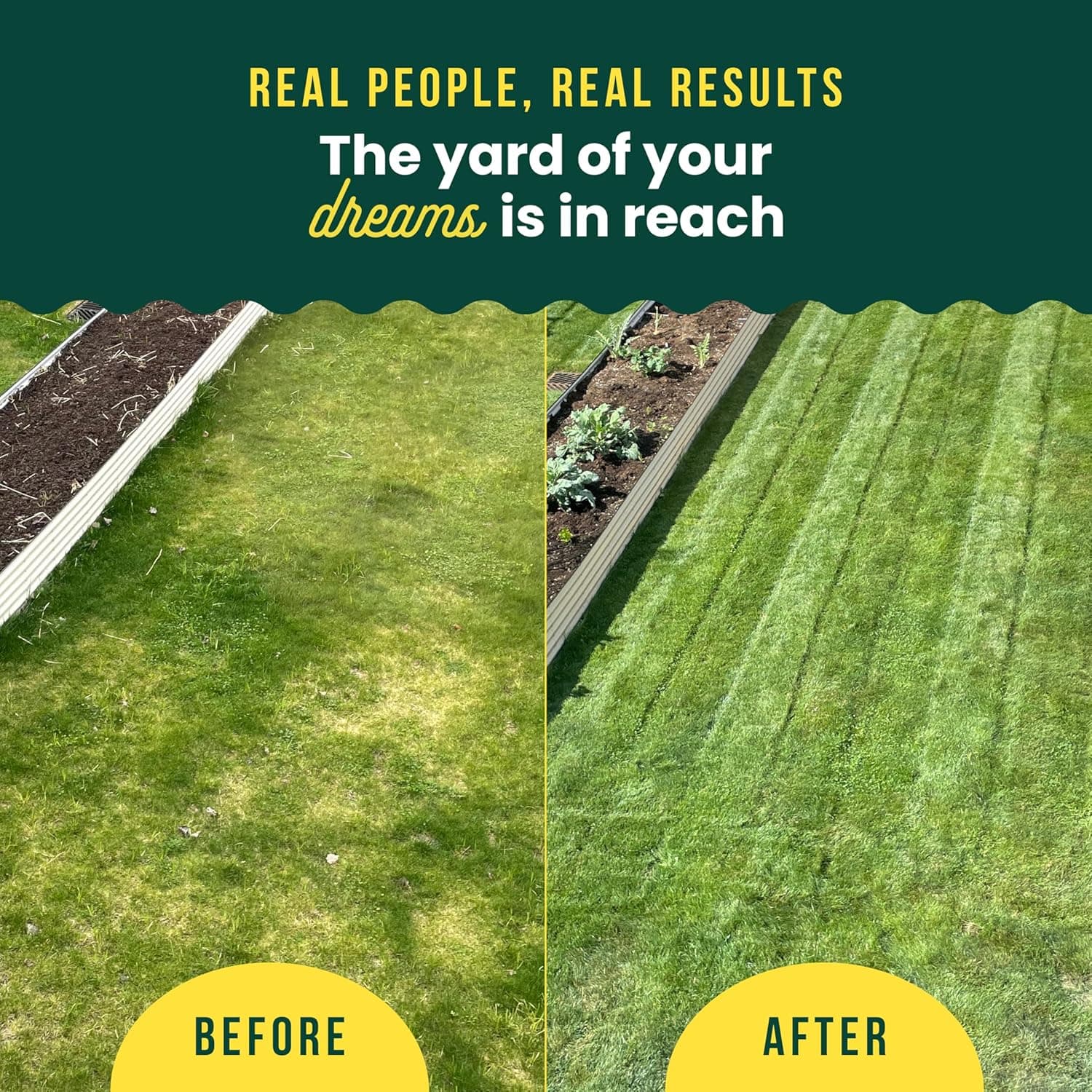 Sunday Lawn Kickstart Fertilizer, 42.3oz, 2 Pack - Fertilizer for Grass Improvement - Includes Universal Sprayer Attachment - Covers Up to 10,000 Sq Ft - Easy Application in 15 Minutes or Less : Patio, Lawn &amp; Garden thumbnail 3