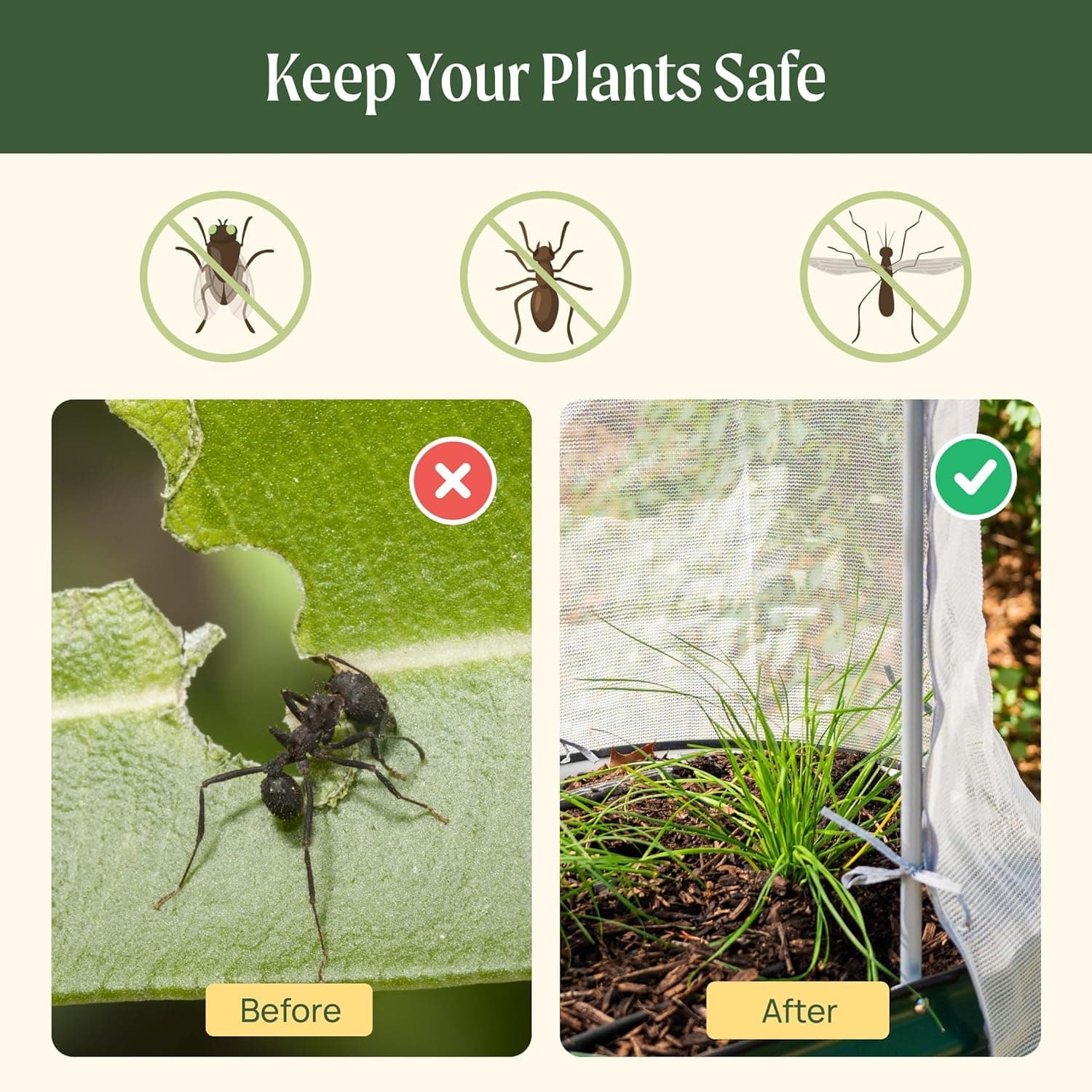 Vego Garden 3.5 thumbnail 5