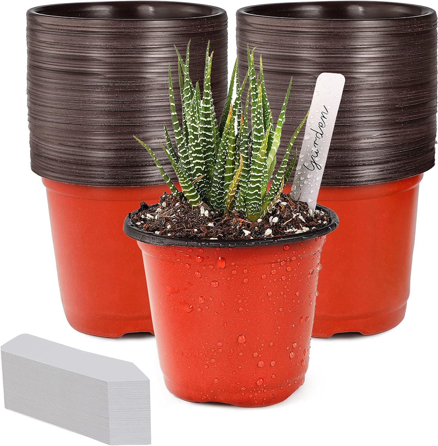TDHDIKE 4" Small Plastic Plant Nursery Pot/Pots (100pcs) Seedlings Flower Plant Container Seed Starting Pots , Come with 100pcs Plant Labels : Patio, Lawn &amp; Garden image 1
