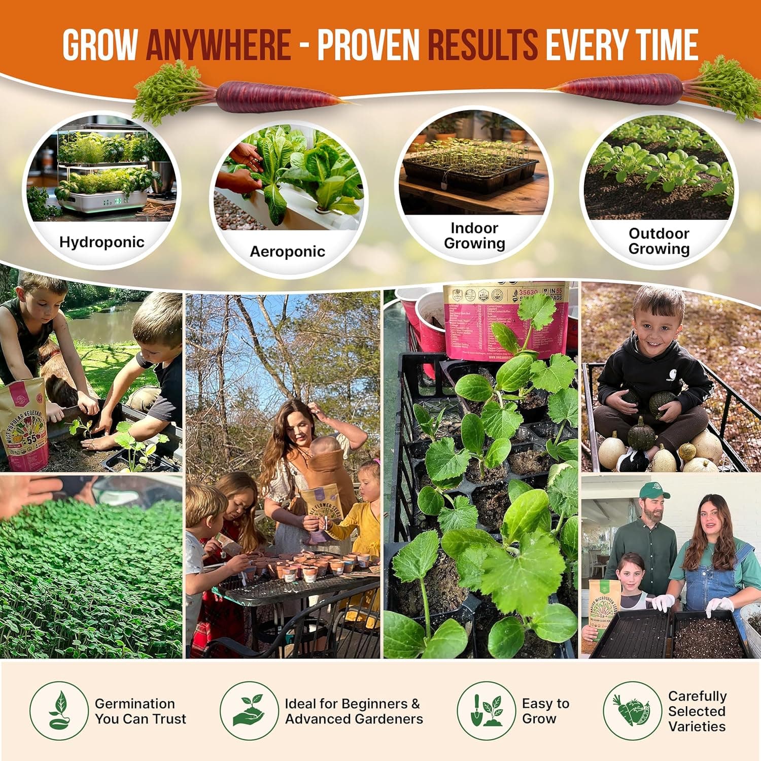 Organo Republic 10 Unique Carrot Seeds Variety Pack thumbnail 4