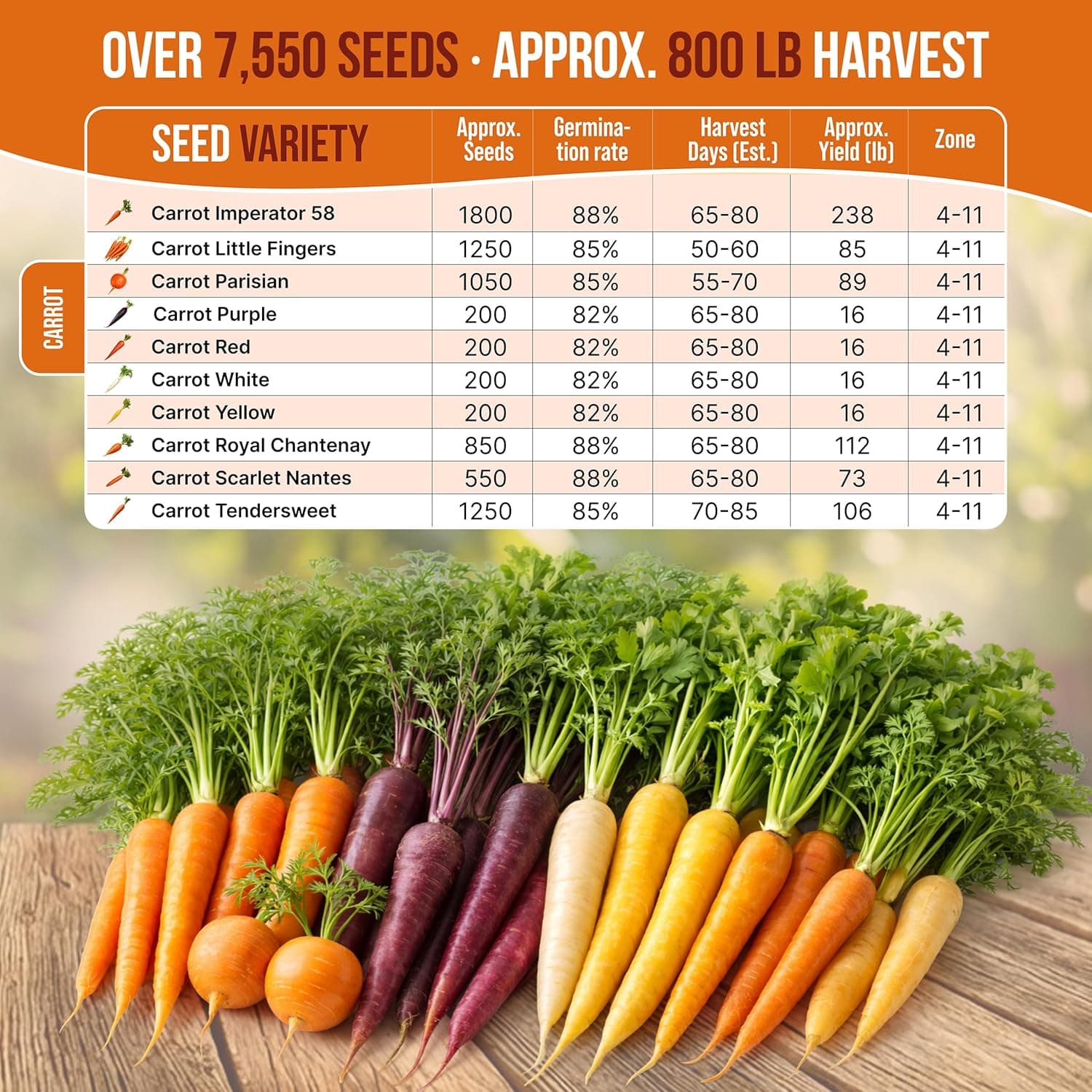 Organo Republic 10 Unique Carrot Seeds Variety Pack thumbnail 3